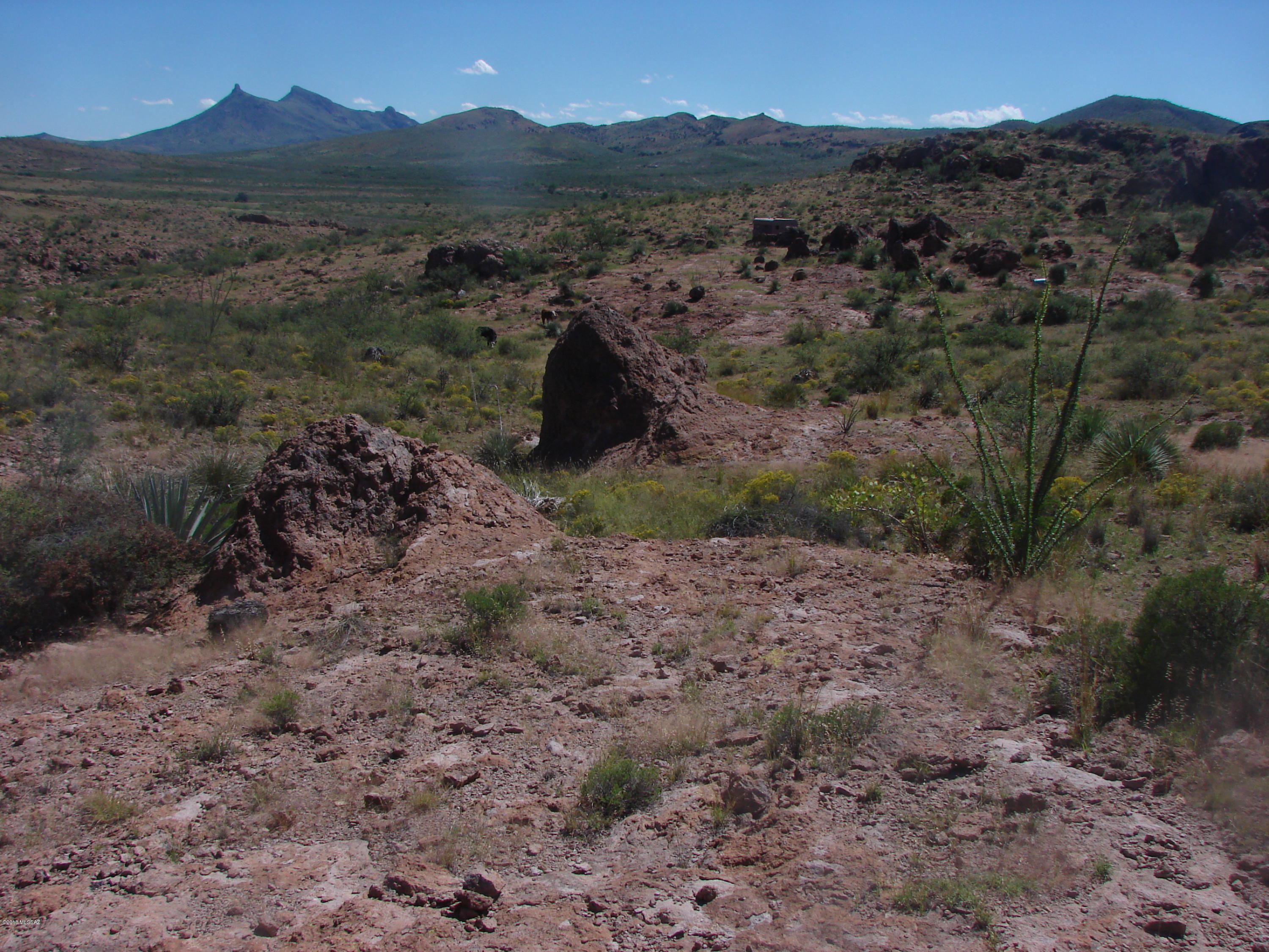 Out Of Pima County - Land