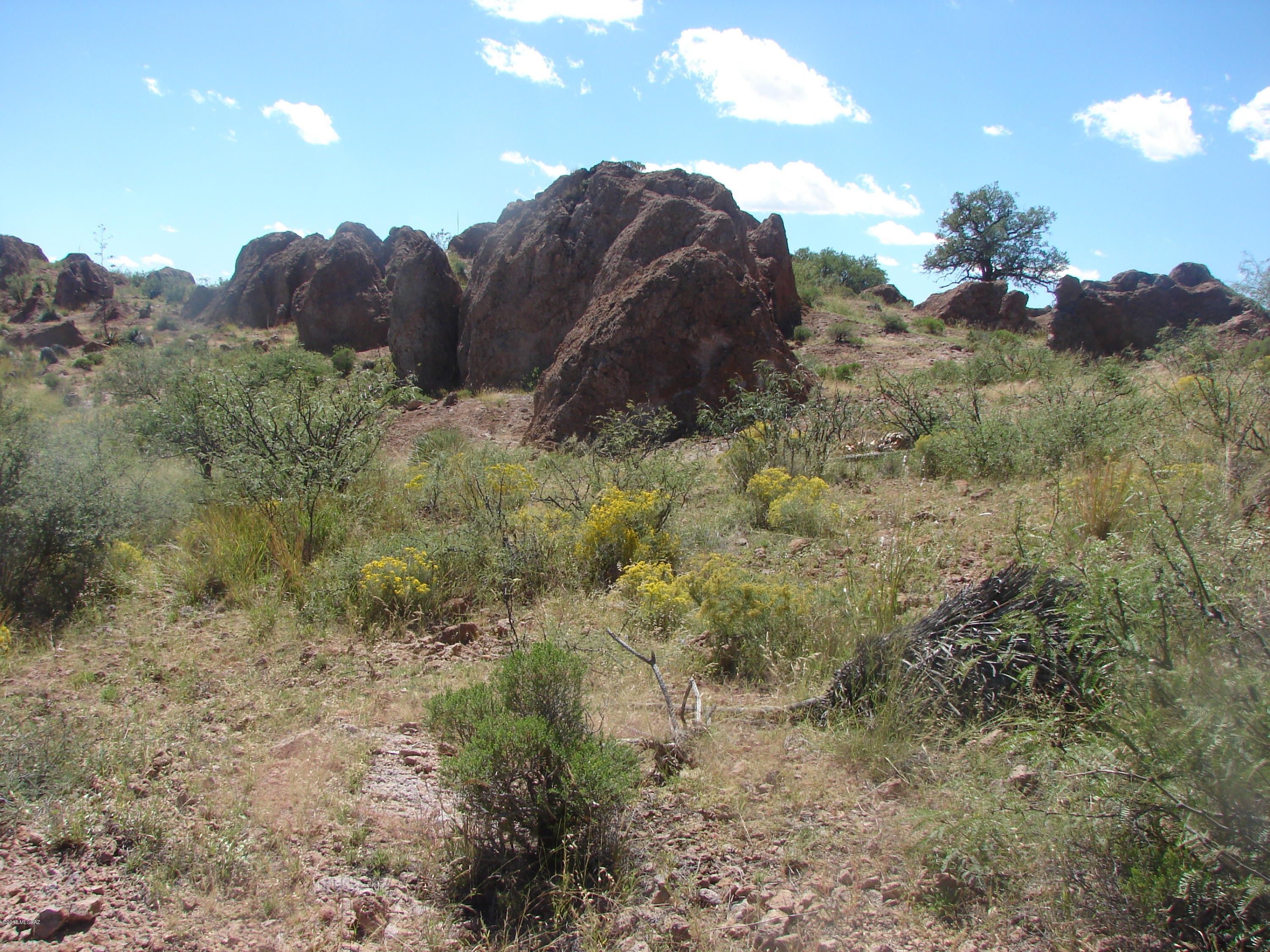 Out Of Pima County - Land
