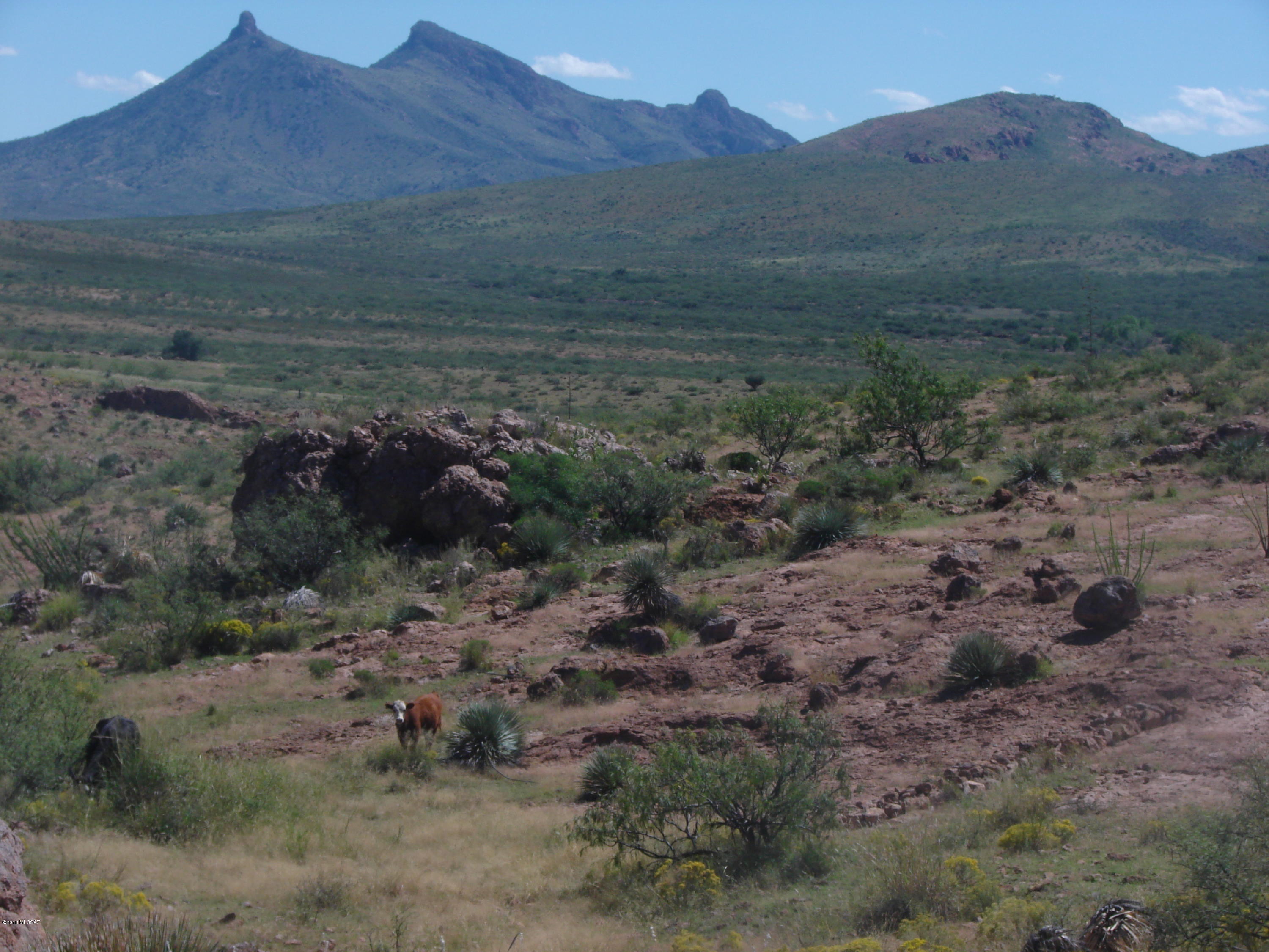 Out Of Pima County - Land