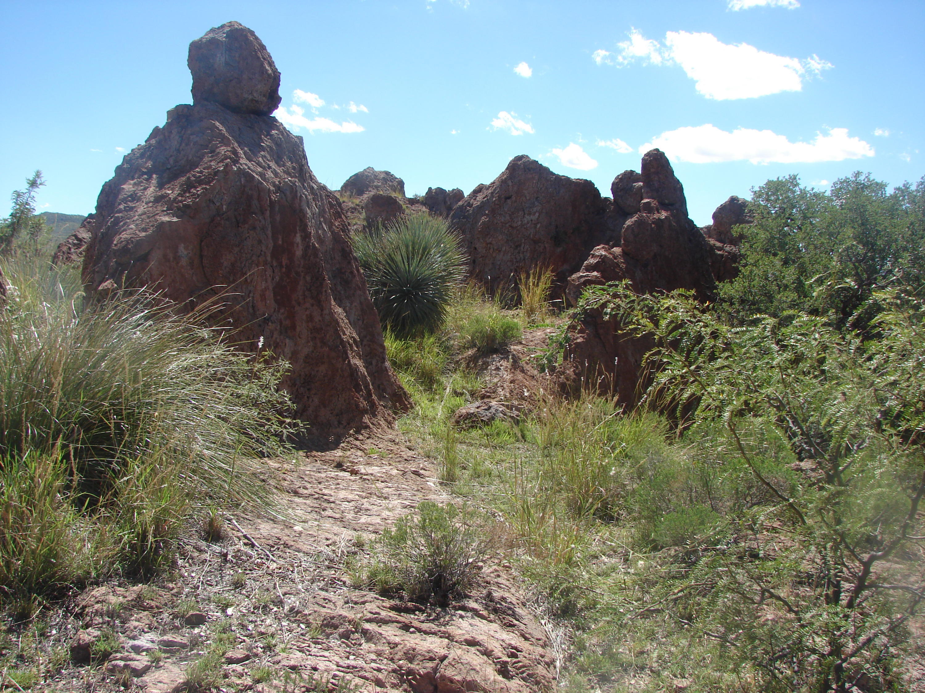 Out Of Pima County - Land