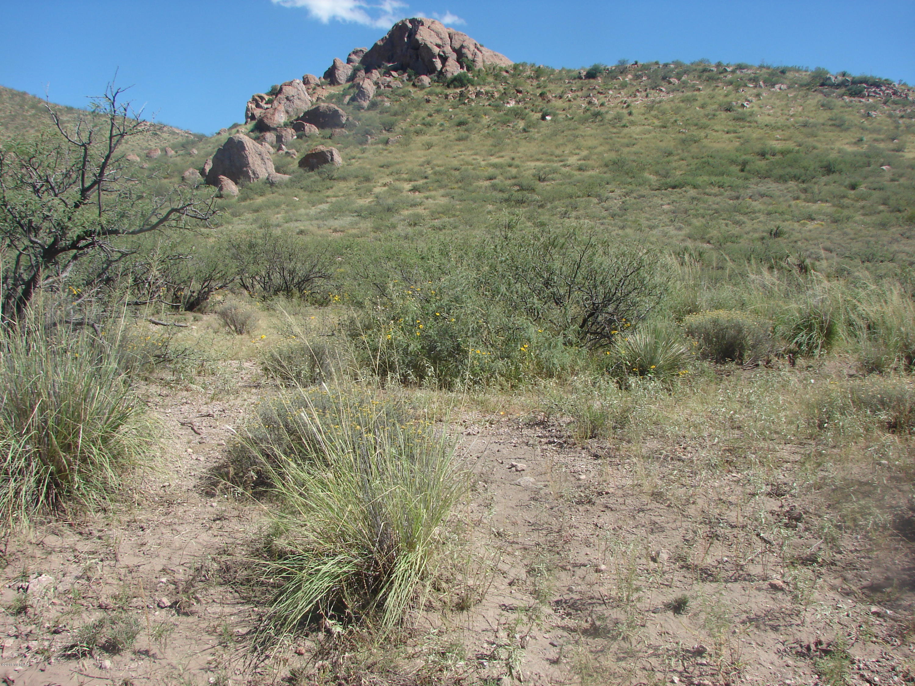 Out Of Pima County - Land