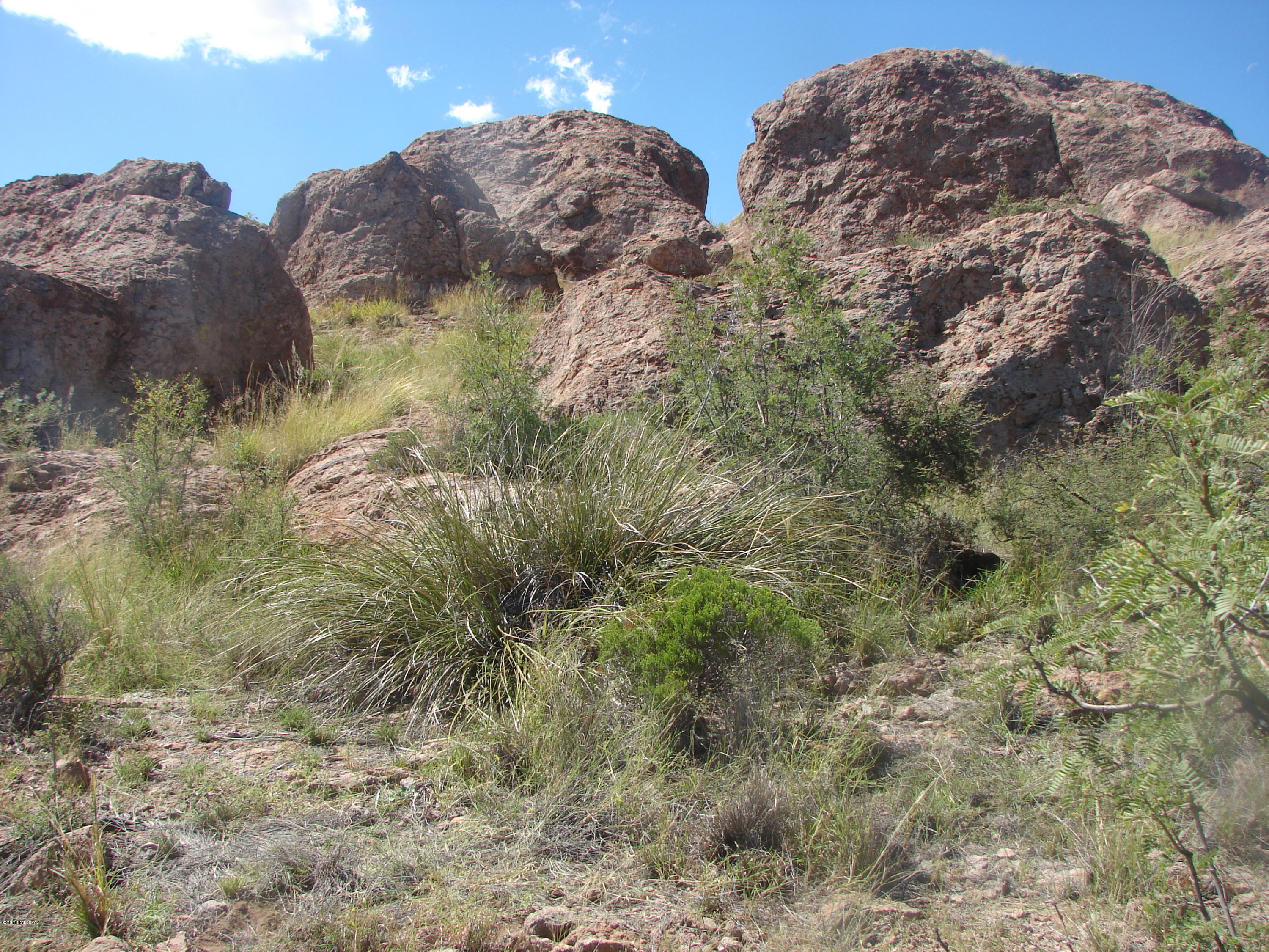 Out Of Pima County - Land