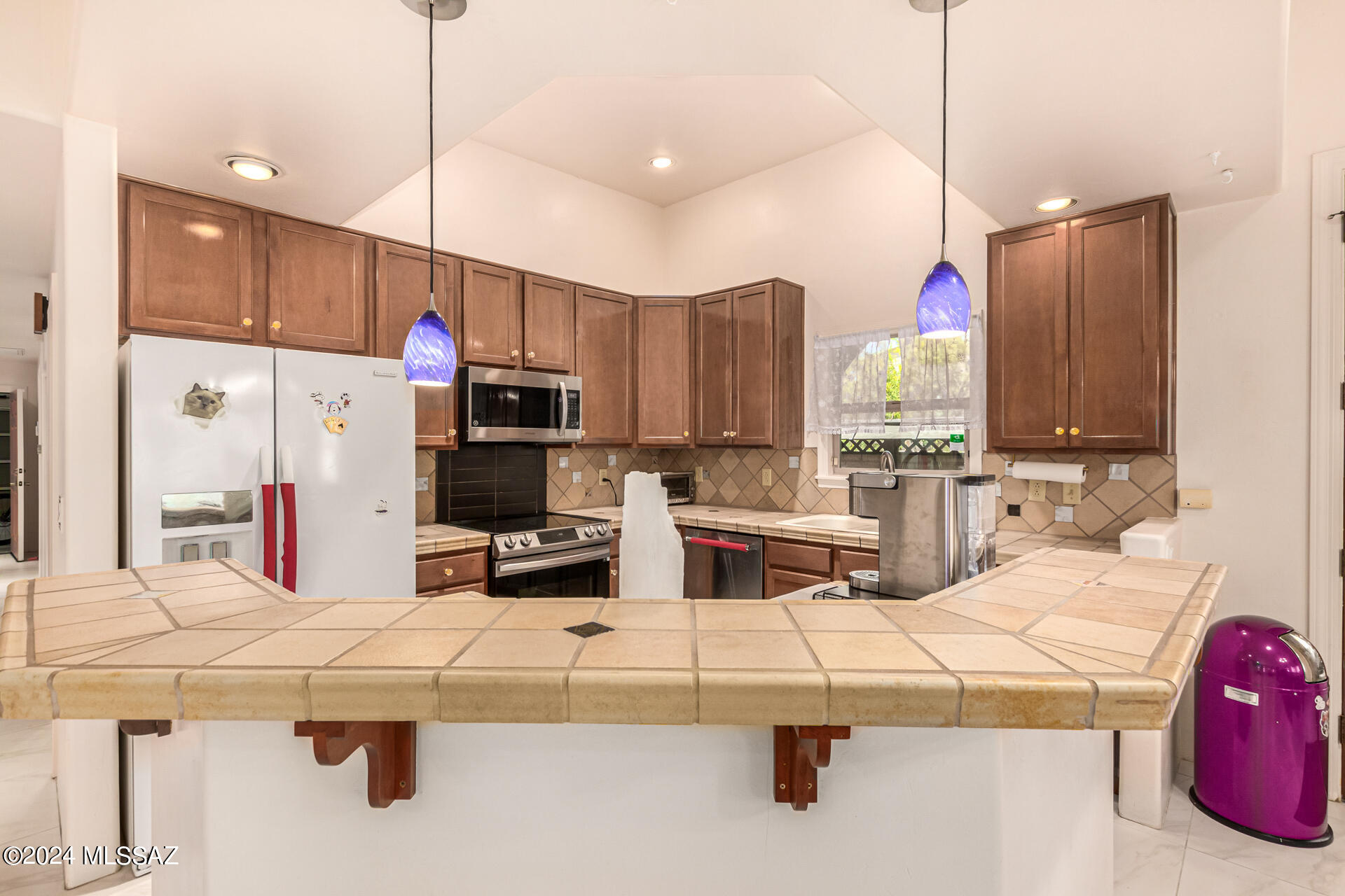 Armory Park Del Sol - Residential