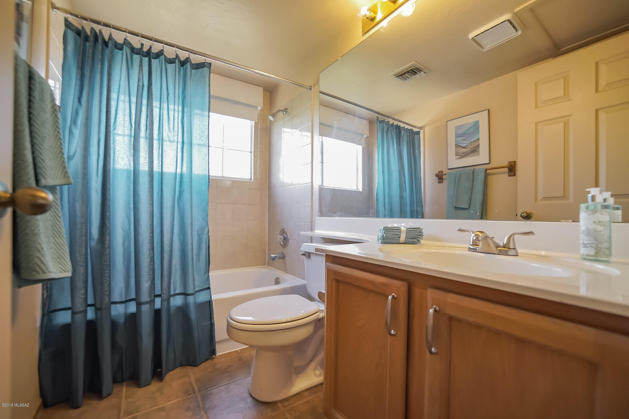 Rancho Vistoso Neighborhood 7 (1-317) - Residential