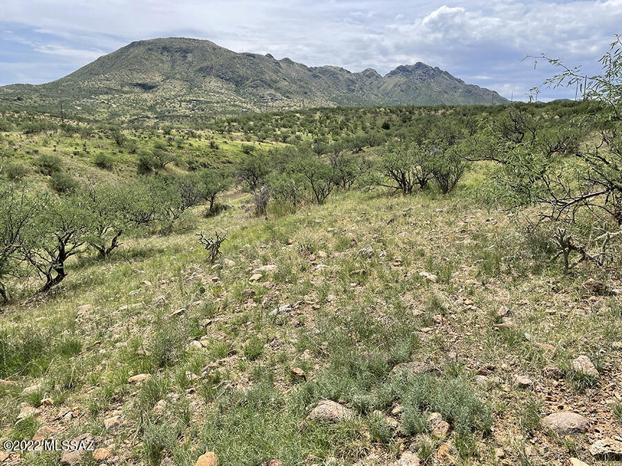 Rio Rico Ranchettes 18 - Land