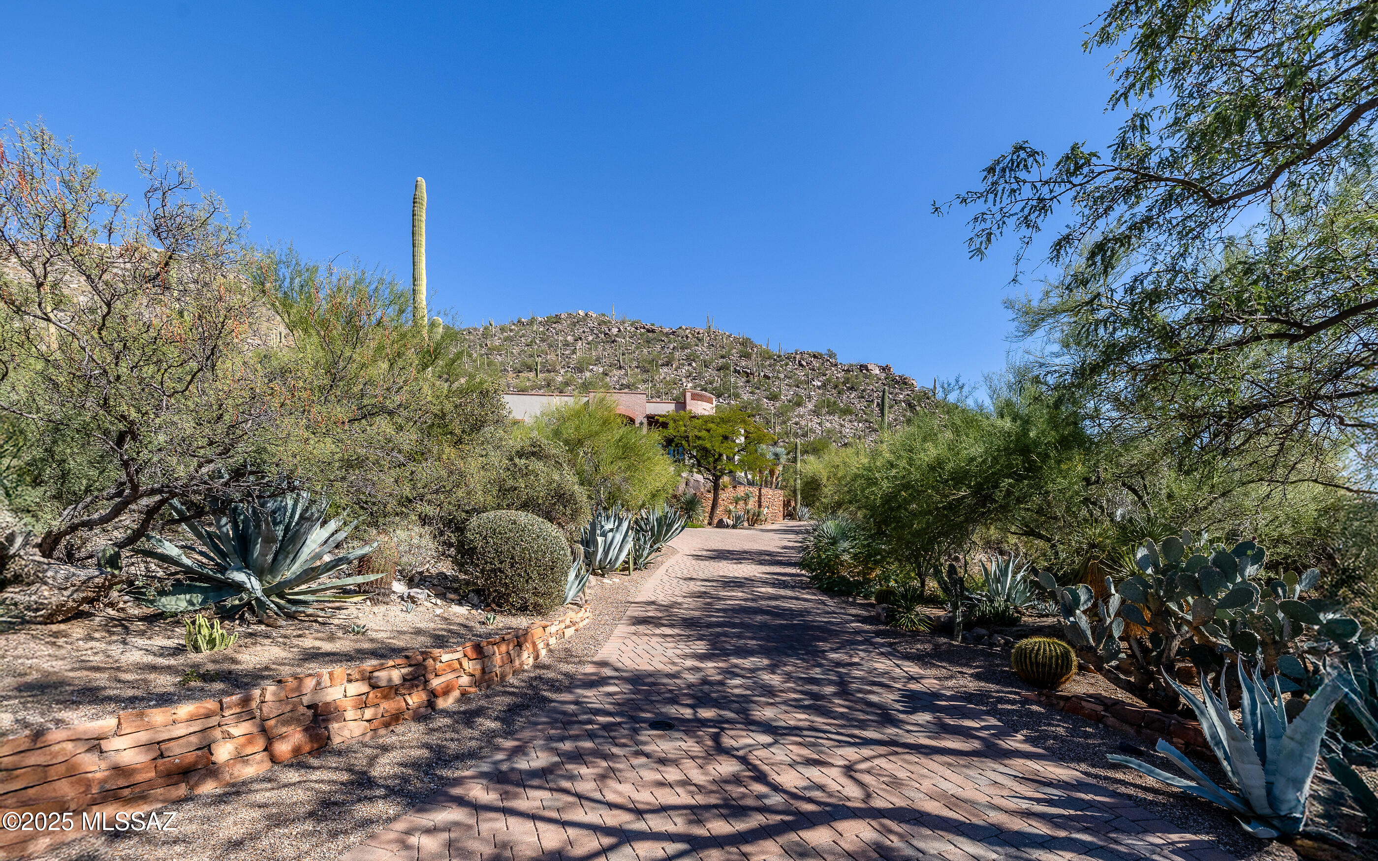 4546 W Dove Canyon Place