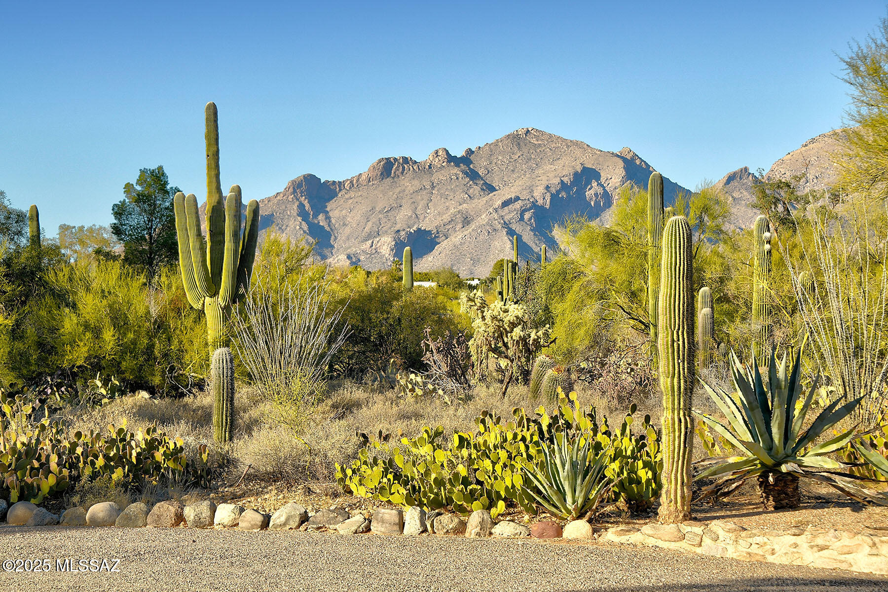 Catalina Foothills Estates - Residential