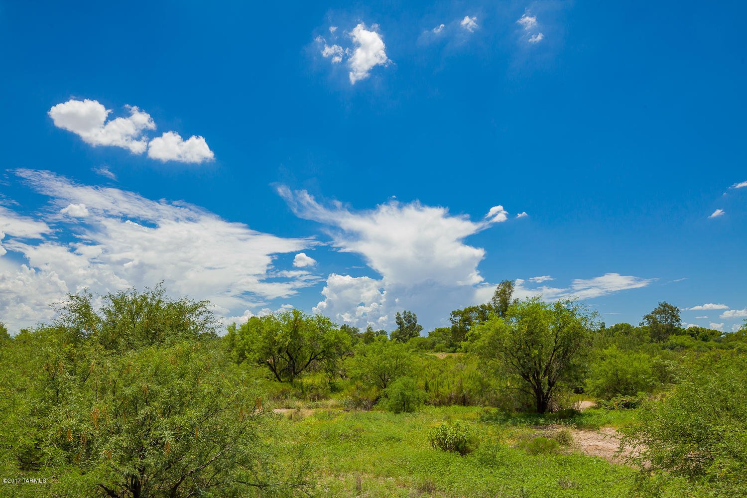 Mesquite Creek II  (1-118) - Residential