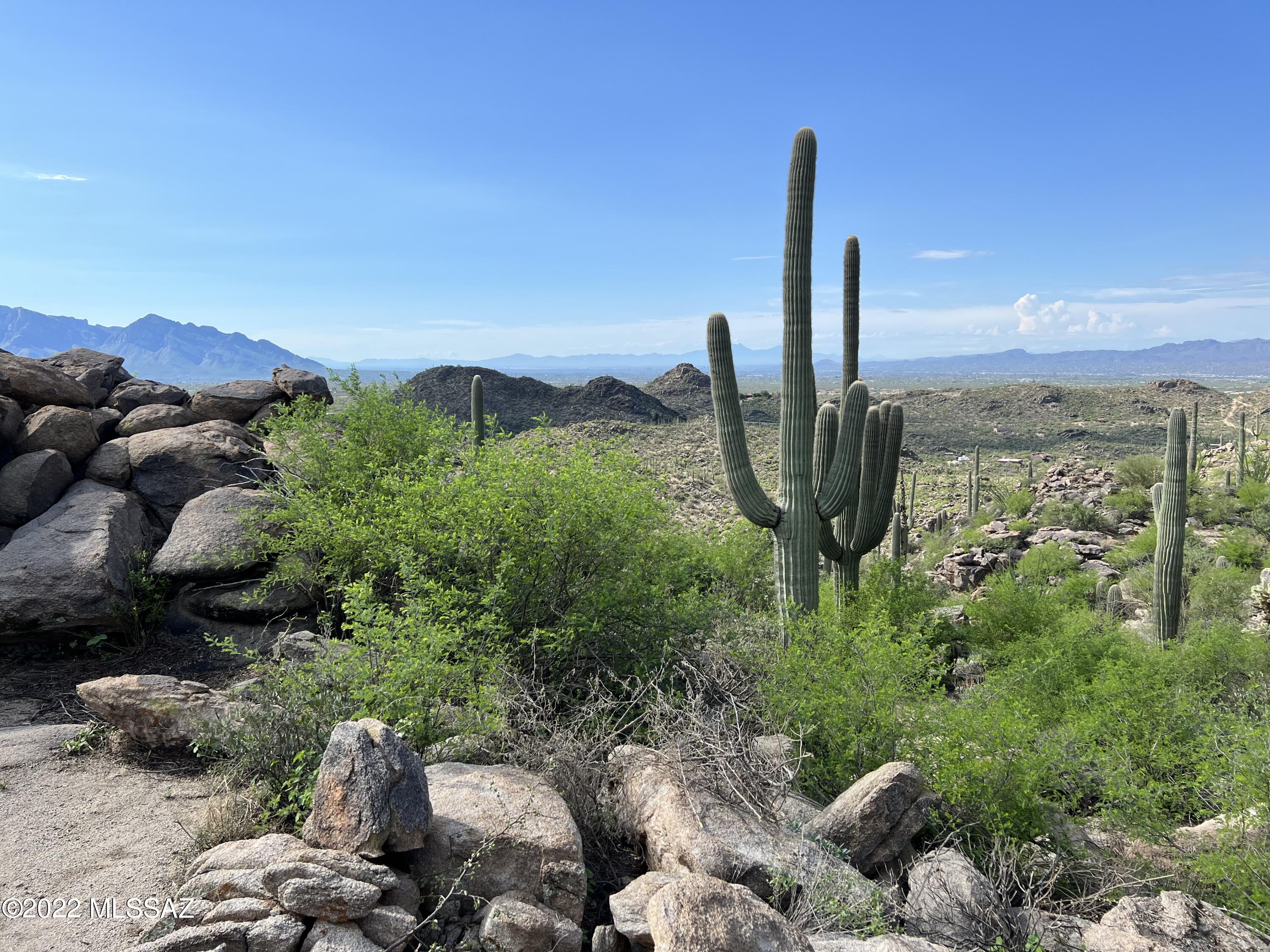 Saguaro Ranch II (L 50-51;53-65) - Land