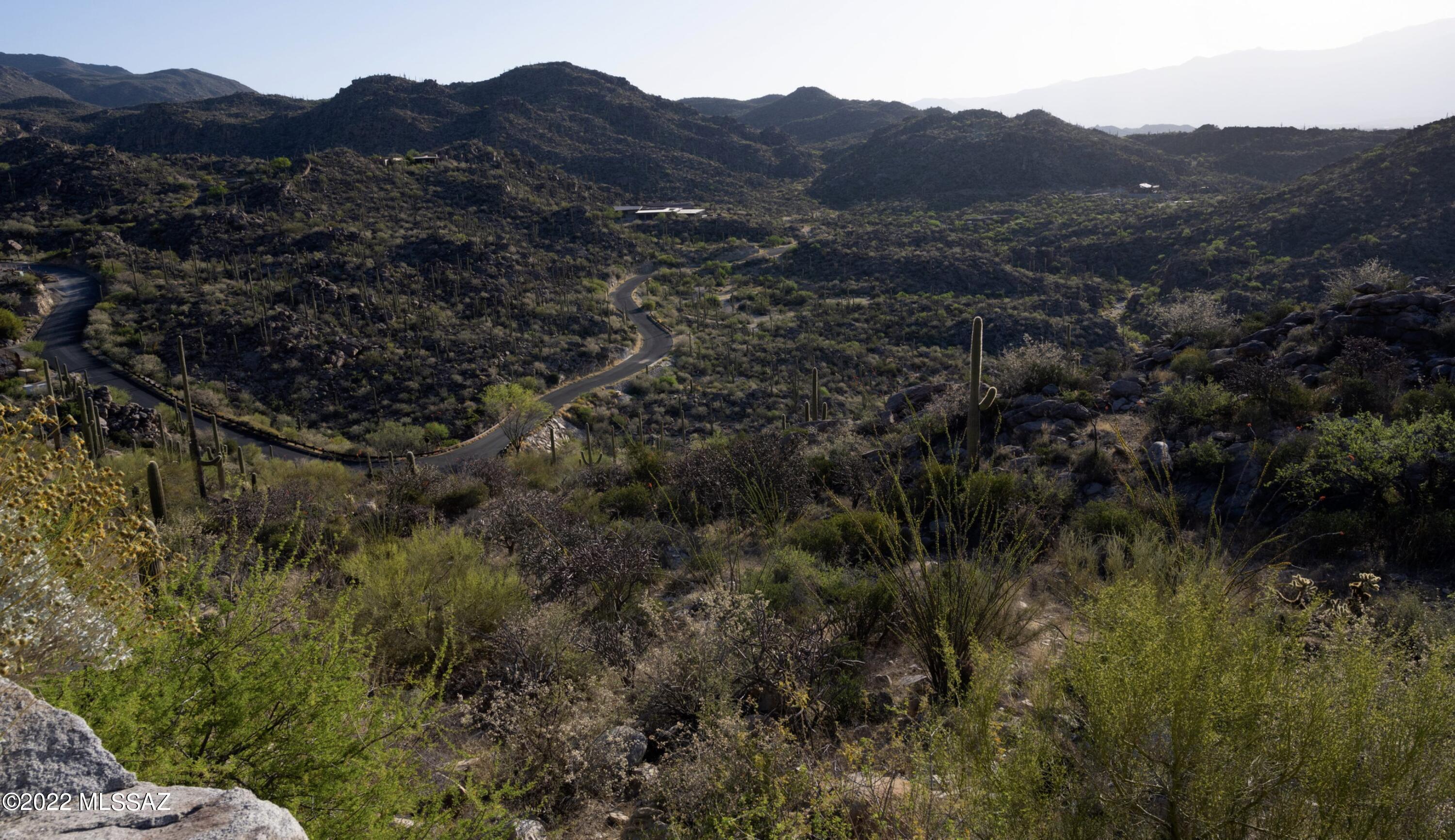 Saguaro Ranch II (L 50-51;53-65) - Land