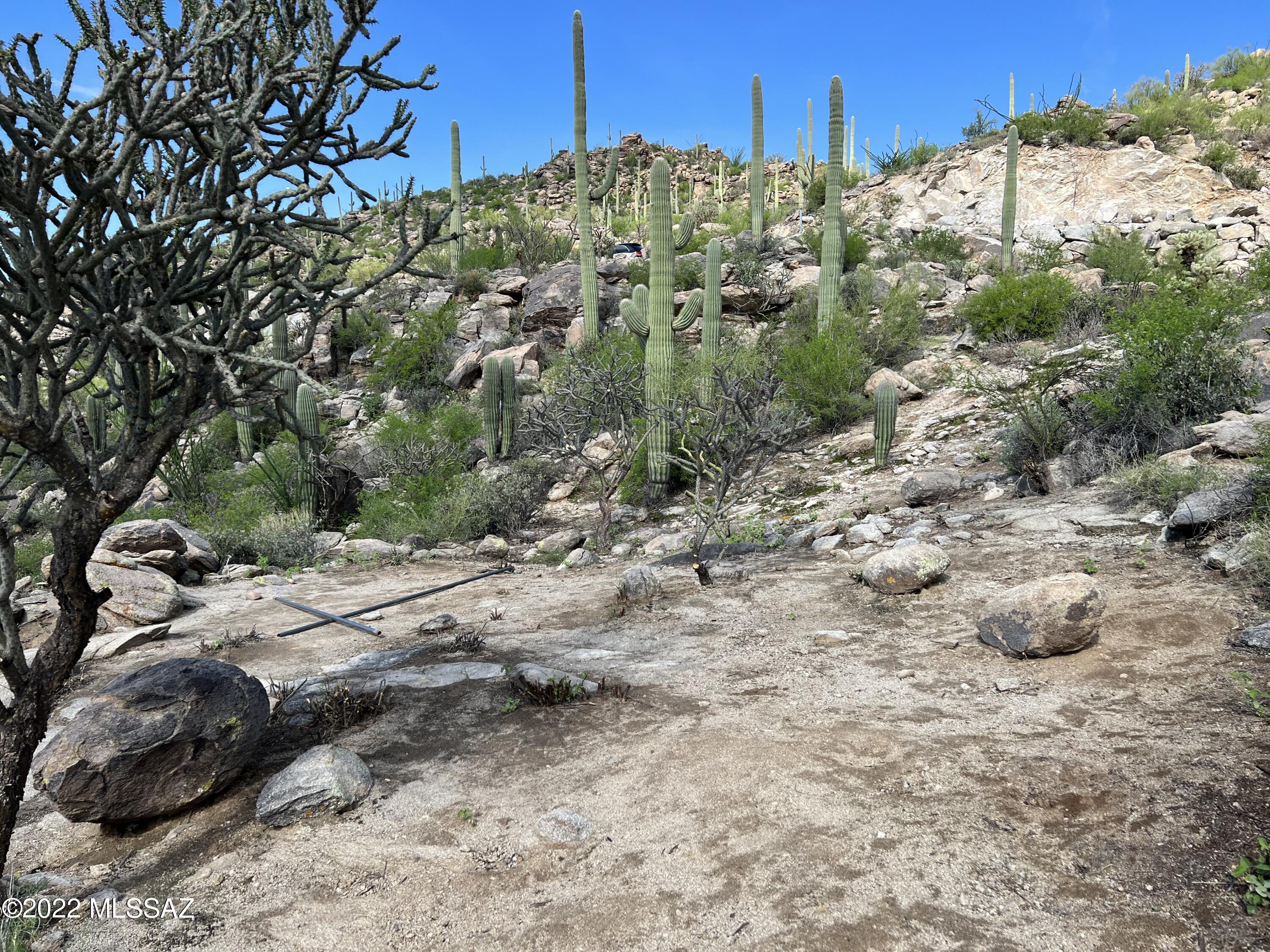 Saguaro Ranch II (L 50-51;53-65) - Land