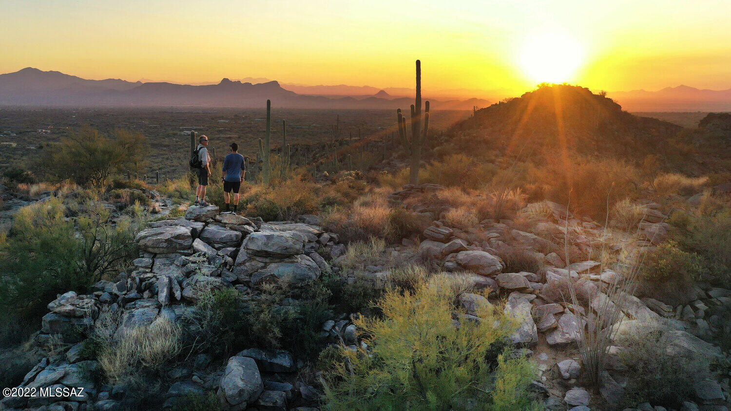 Saguaro Ranch II (L 50-51;53-65) - Land