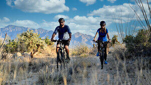 Saguaro Ranch II (L 50-51;53-65) - Land