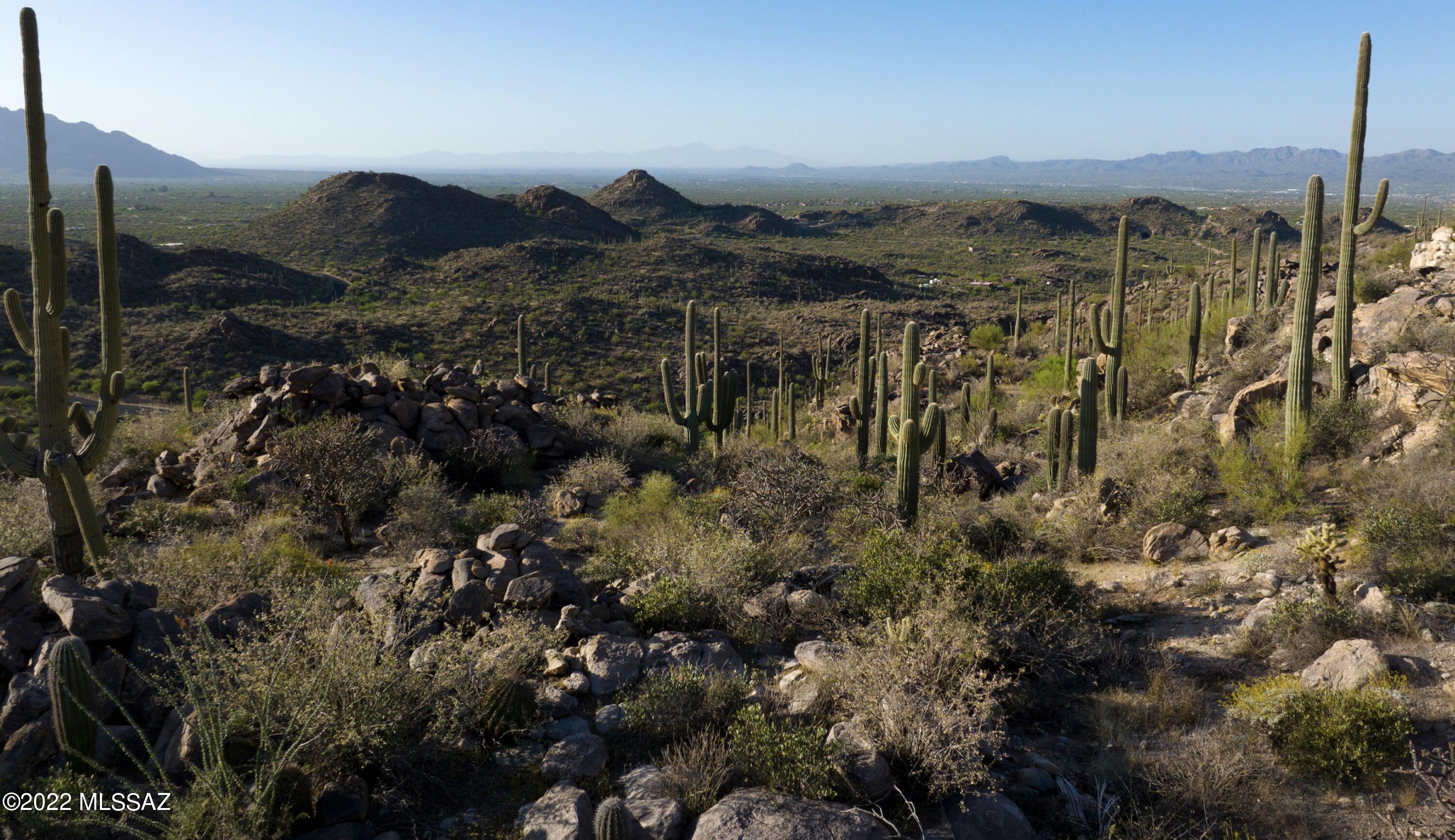 Saguaro Ranch II (L 50-51;53-65) - Land