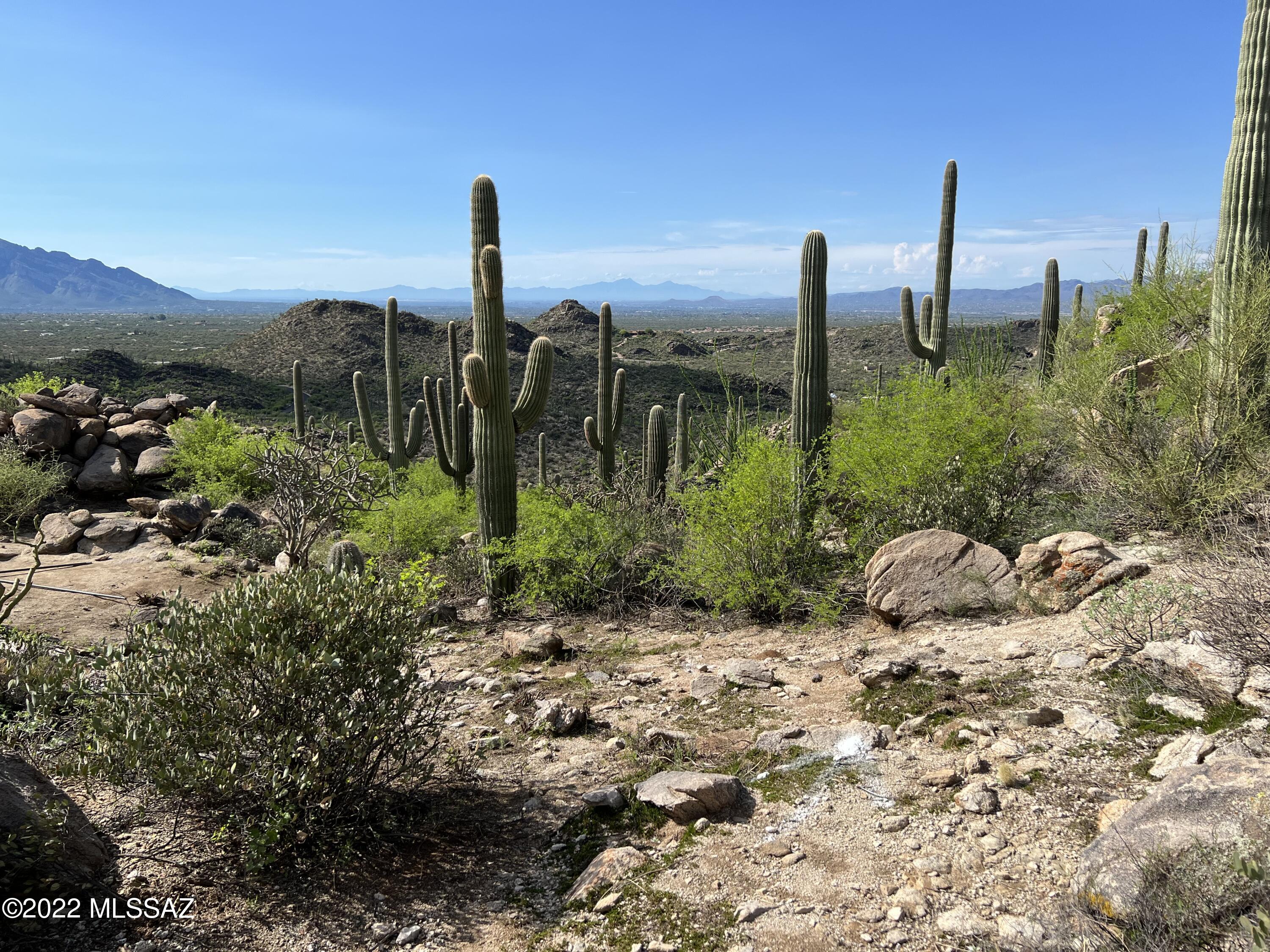 Saguaro Ranch II (L 50-51;53-65) - Land
