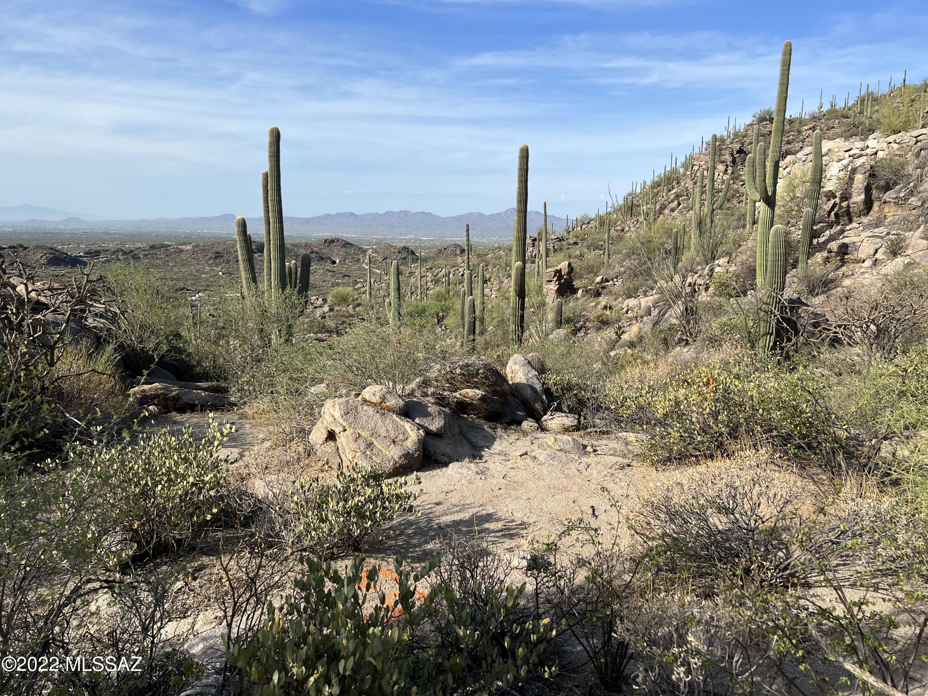 Saguaro Ranch II (L 50-51;53-65) - Land