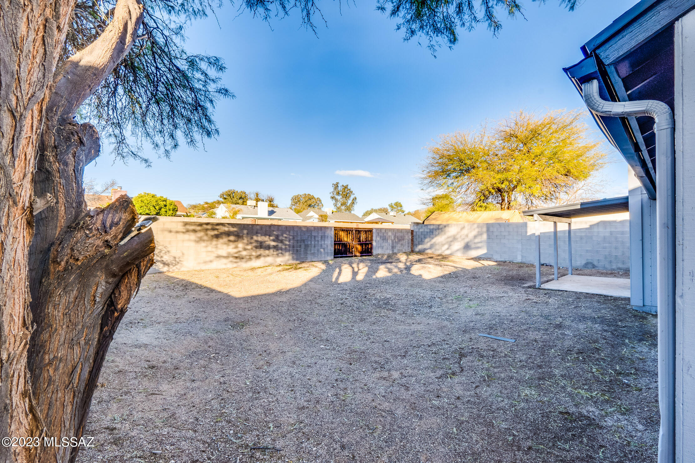 Saguaro Canyon (1-100) - Residential