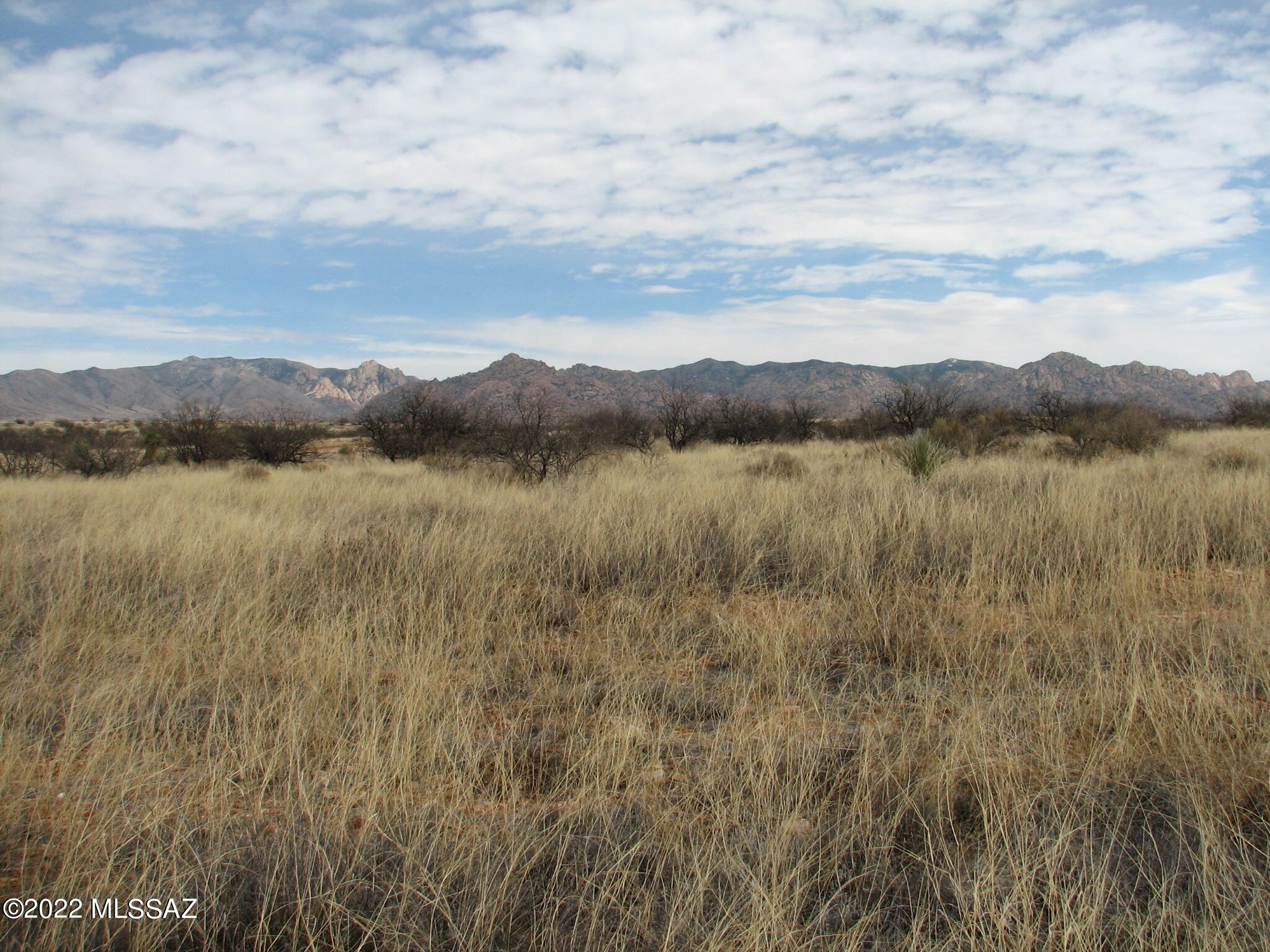 Dragoon Mountain Ranch - Land
