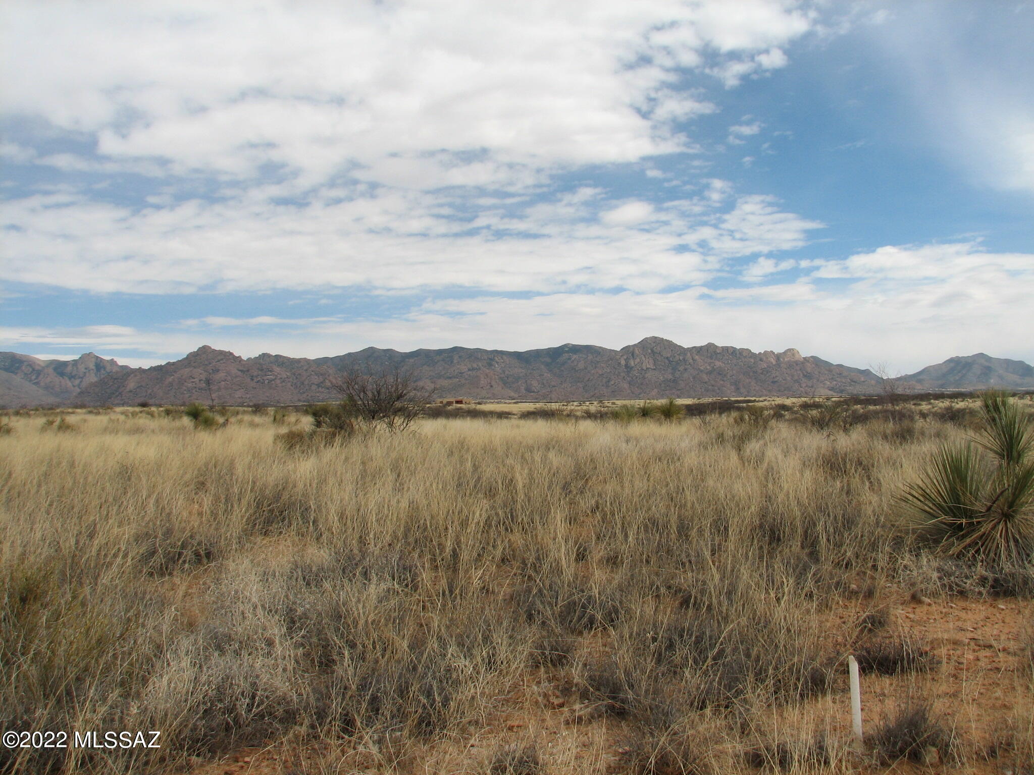 Dragoon Mountain Ranch - Land