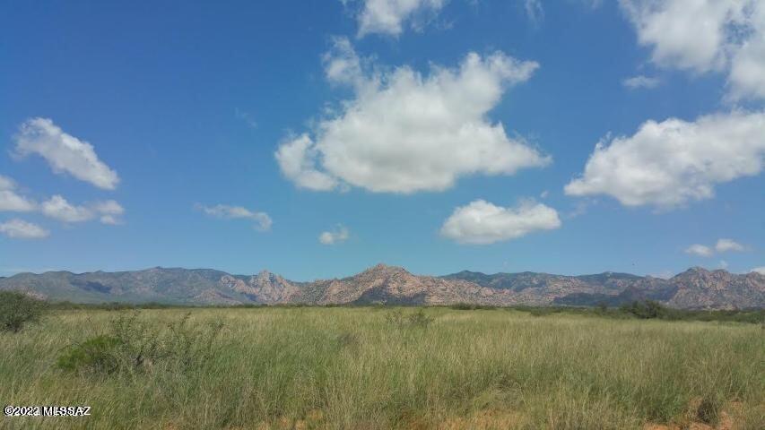 Dragoon Mountain Ranch - Land