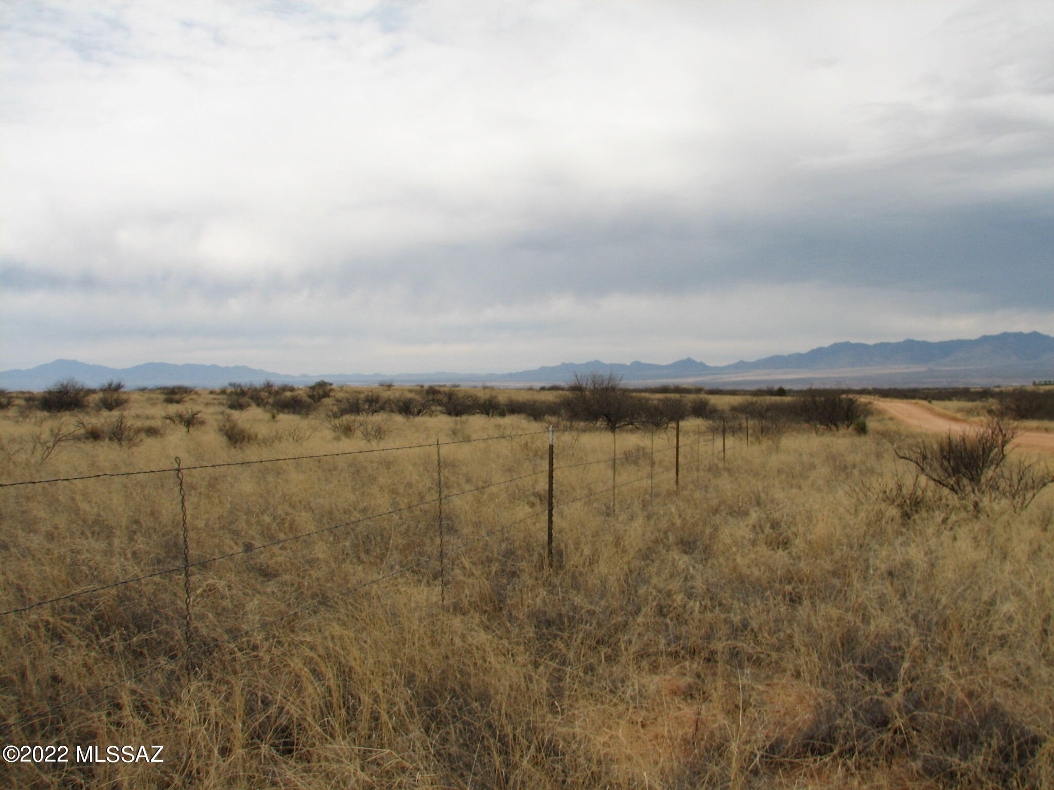 Dragoon Mountain Ranch - Land