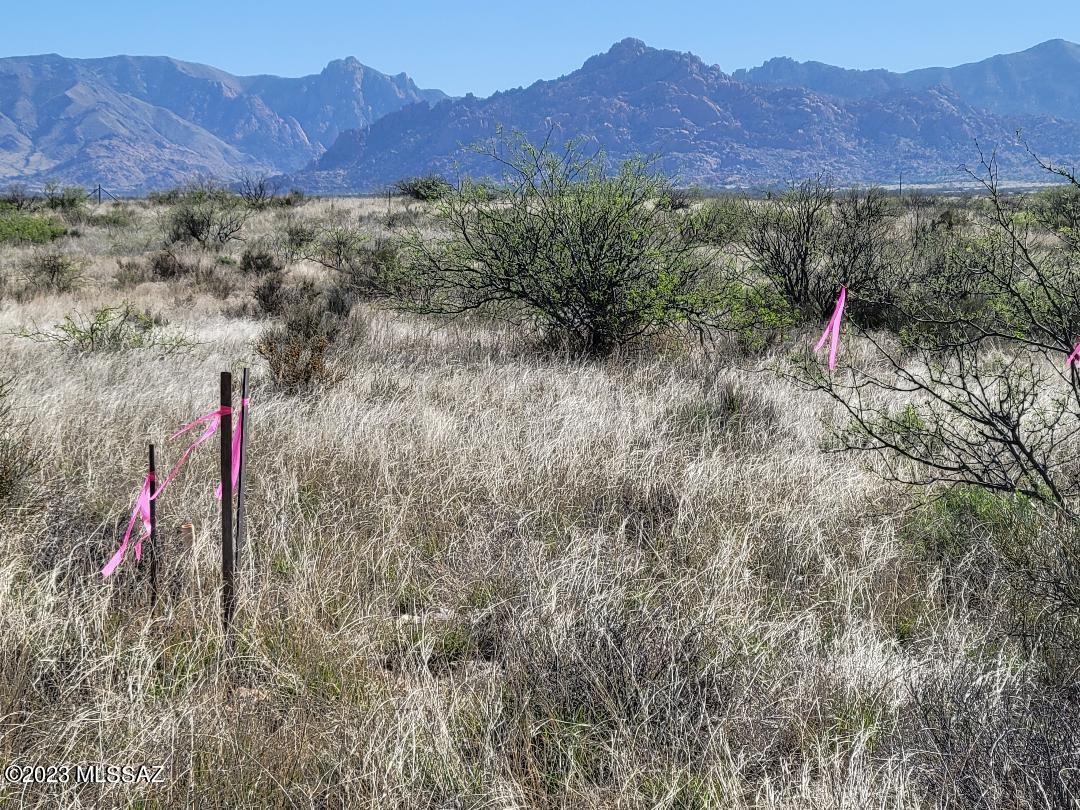 Dragoon Mountain Ranch - Land