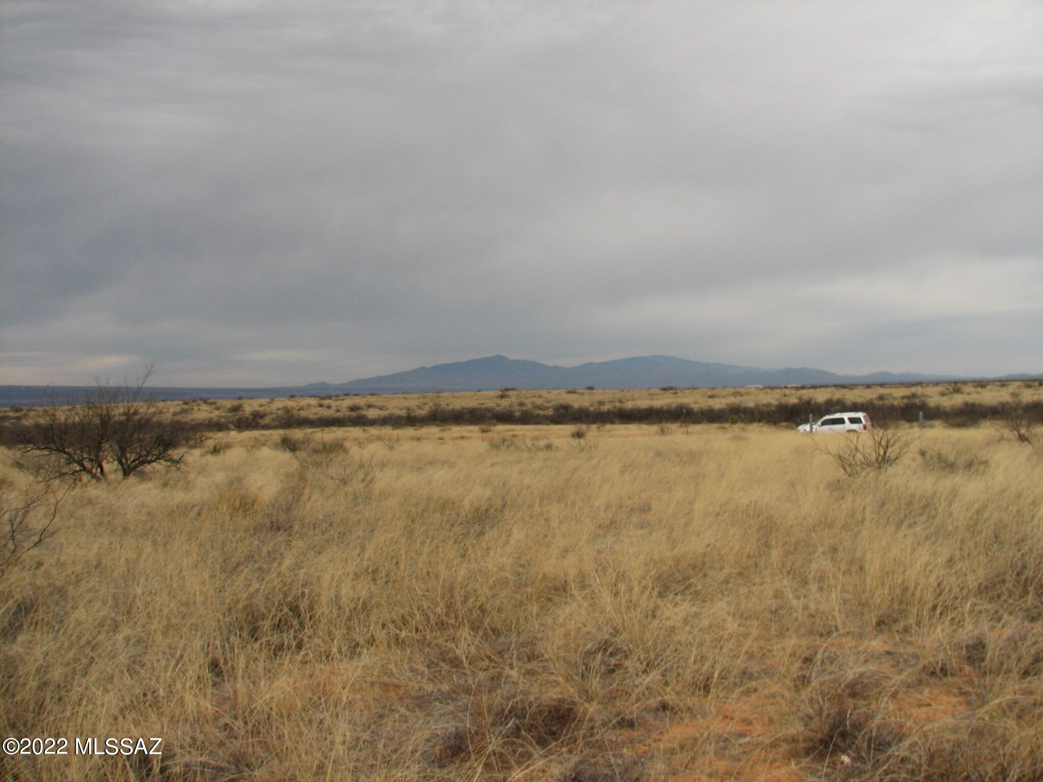 Dragoon Mountain Ranch - Land