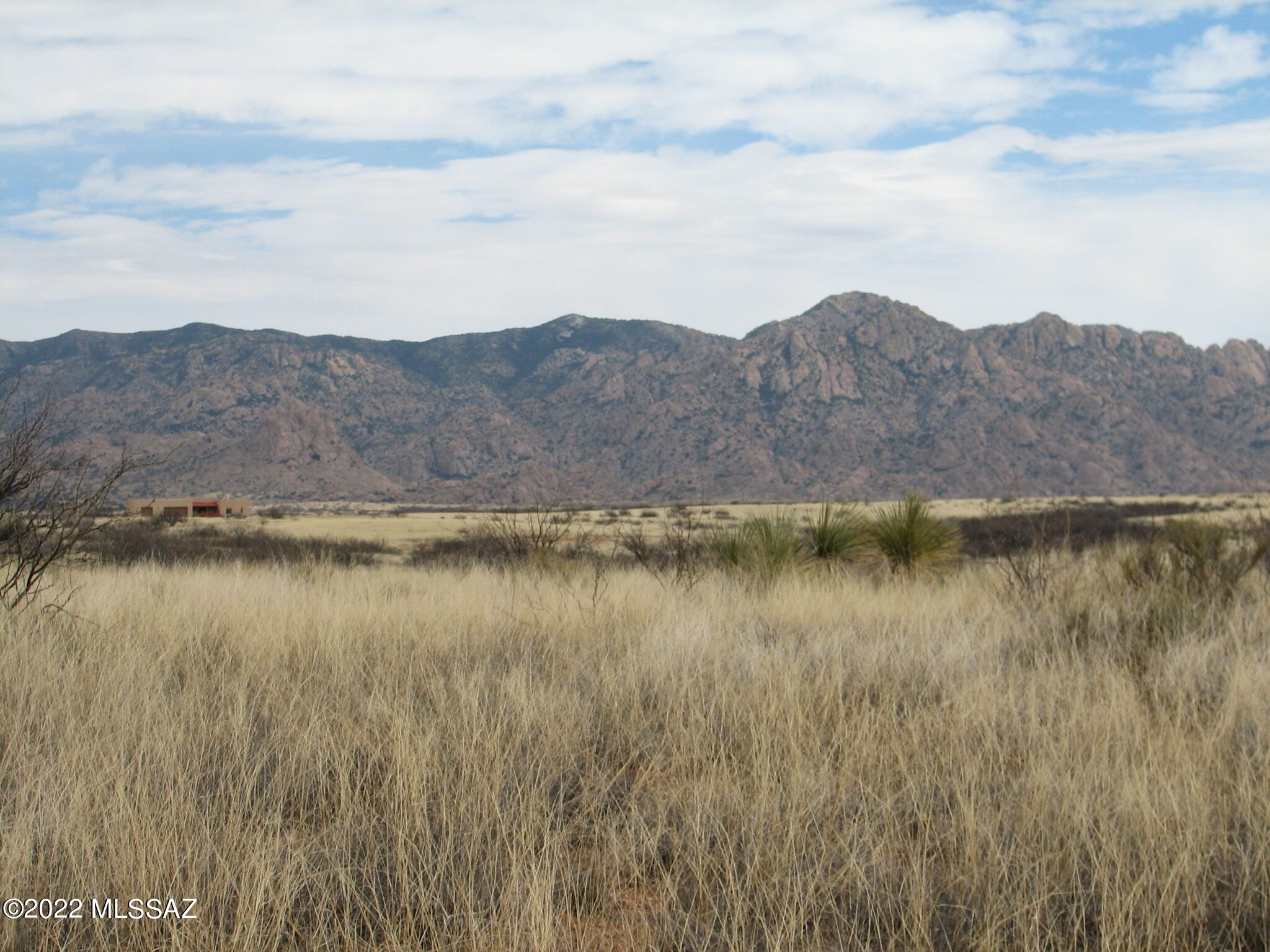 Dragoon Mountain Ranch - Land