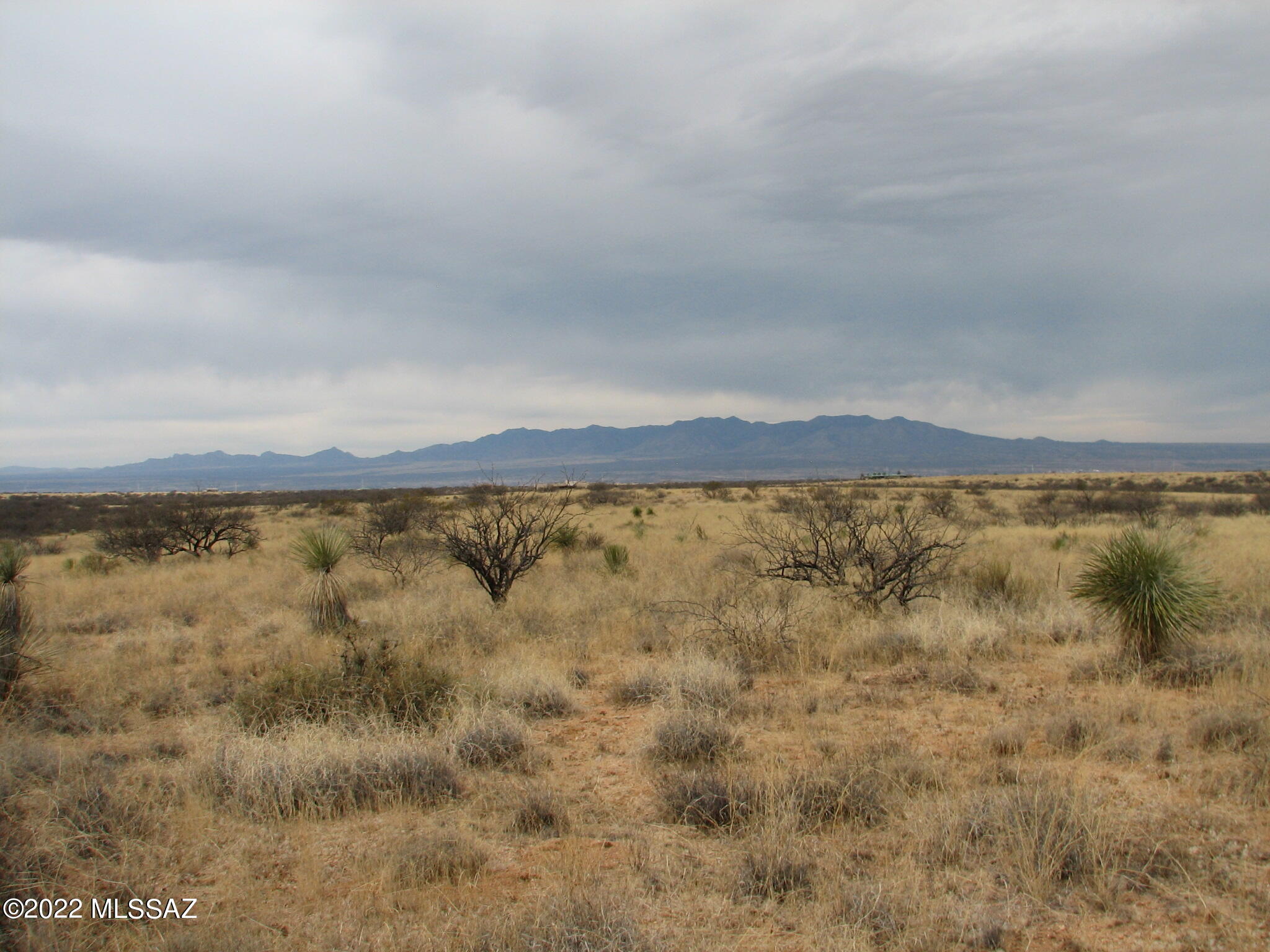 Dragoon Mountain Ranch - Land