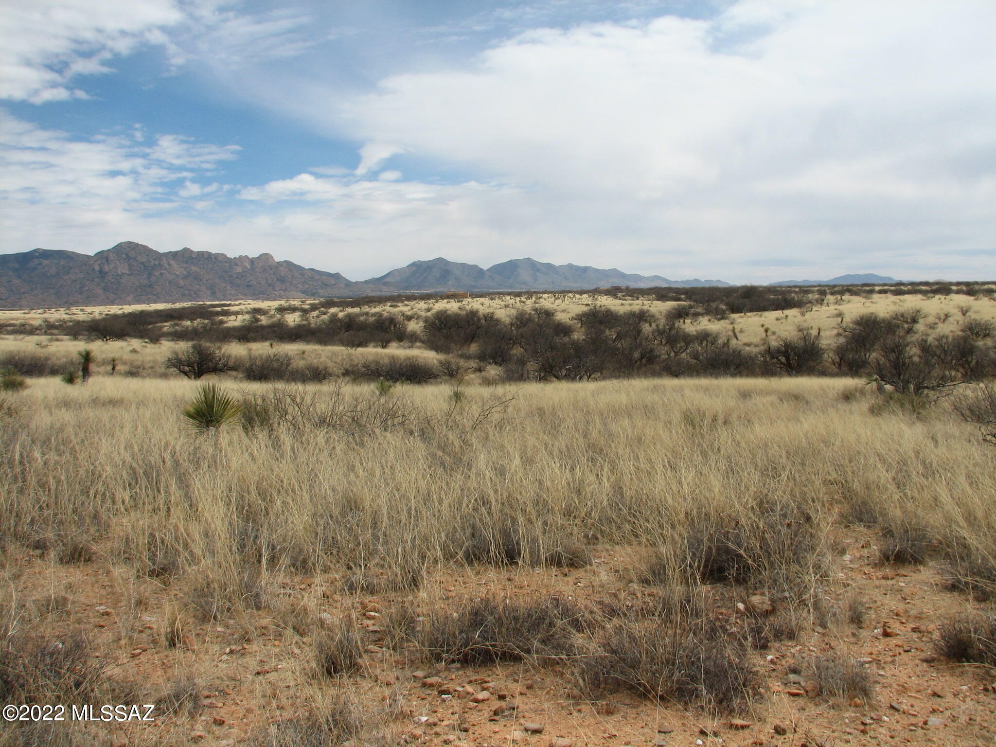 Dragoon Mountain Ranch - Land