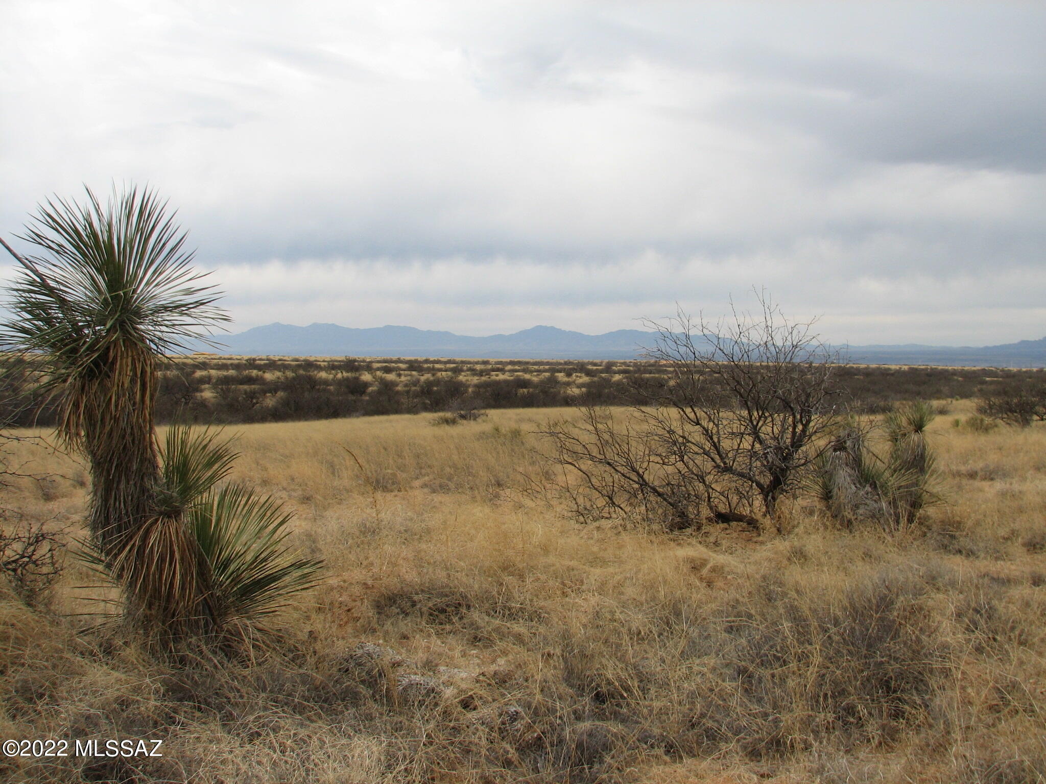 Dragoon Mountain Ranch - Land