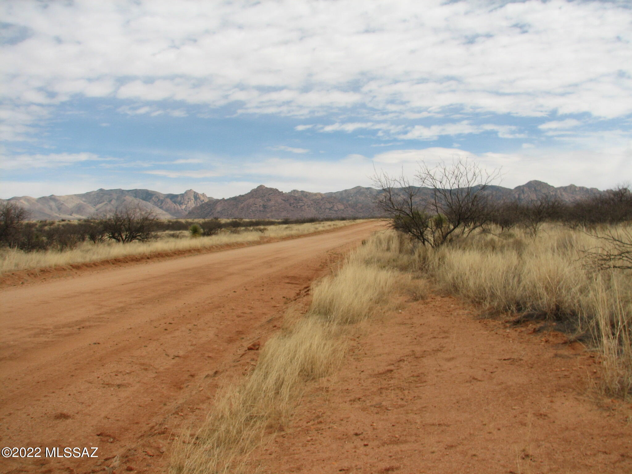 Dragoon Mountain Ranch - Land