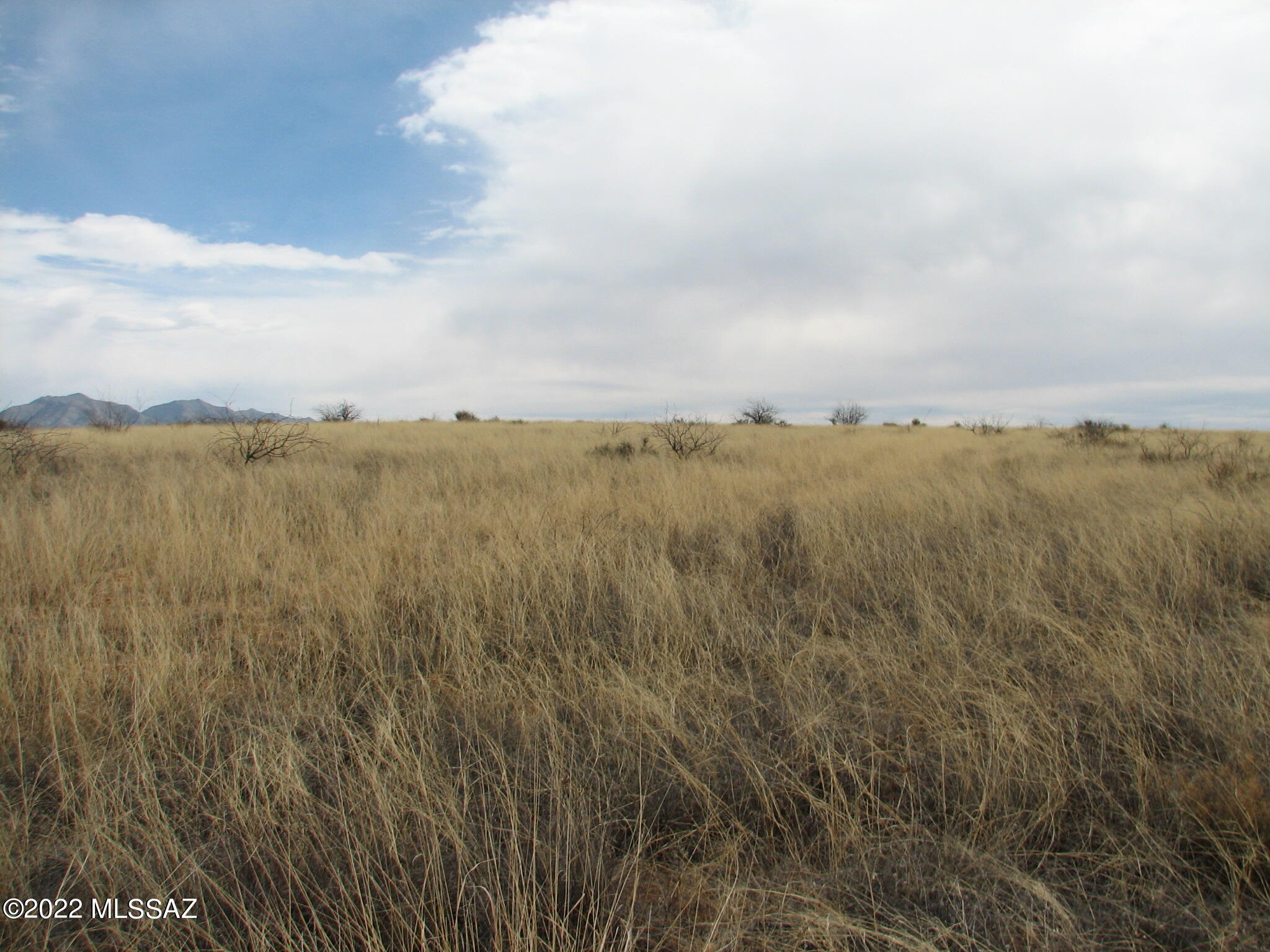 Dragoon Mountain Ranch - Land