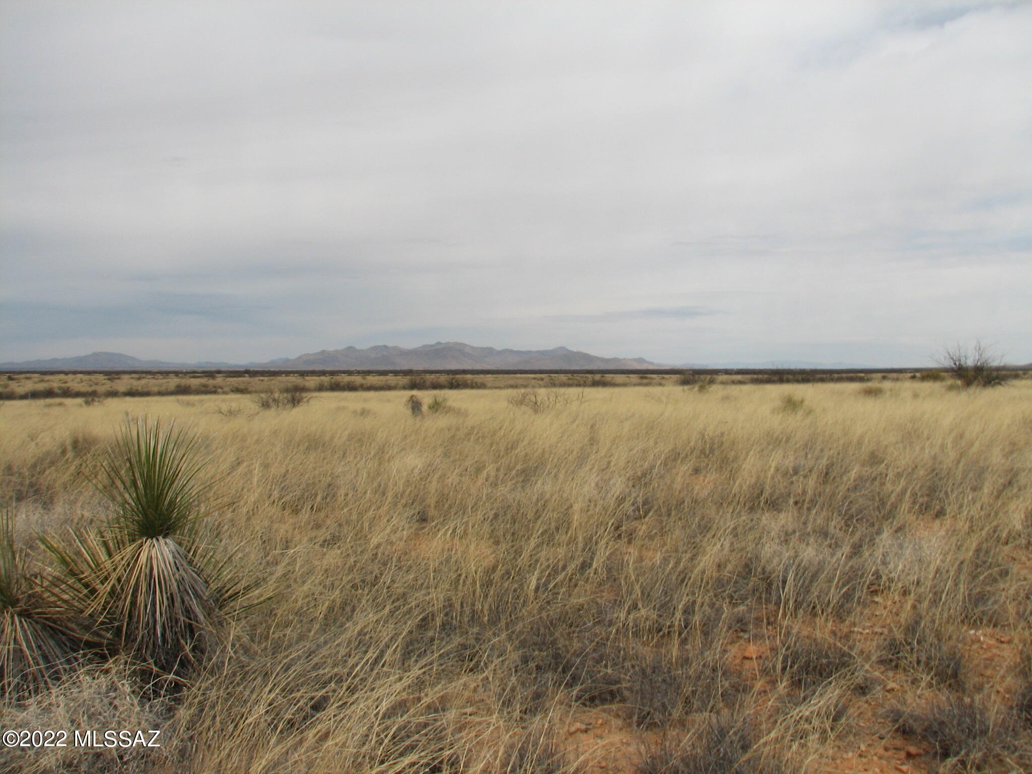 Dragoon Mountain Ranch - Land