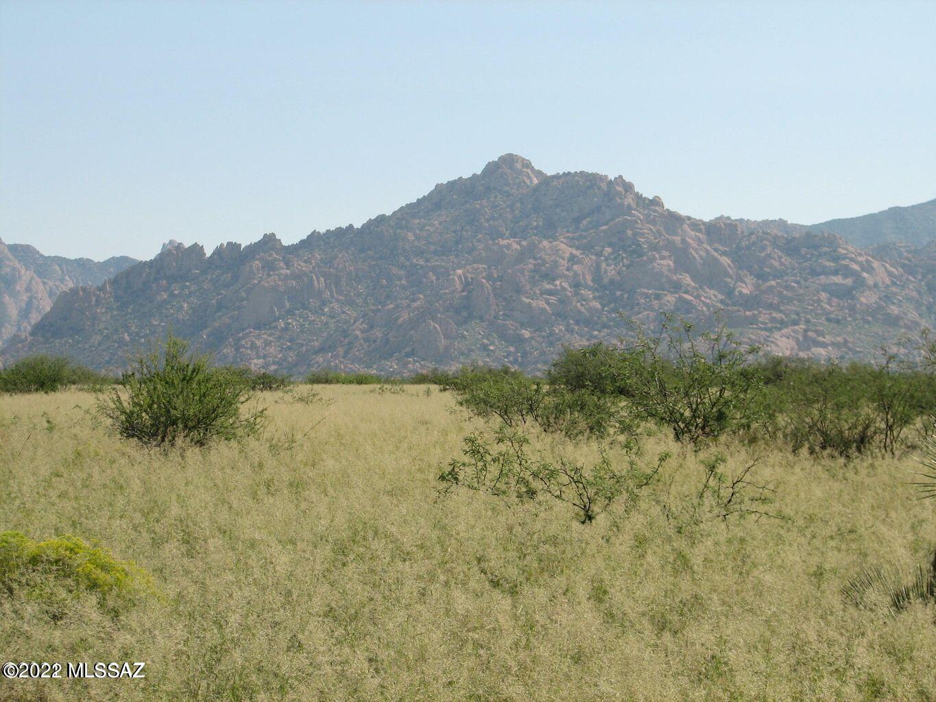 Dragoon Mountain Ranch - Land