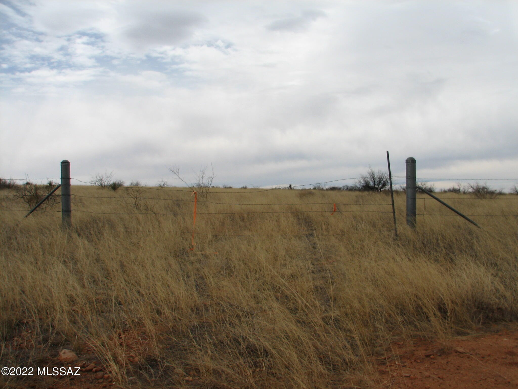 Dragoon Mountain Ranch - Land