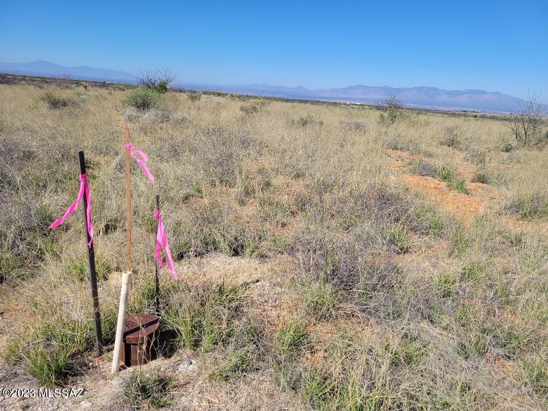 Dragoon Mountain Ranch - Land