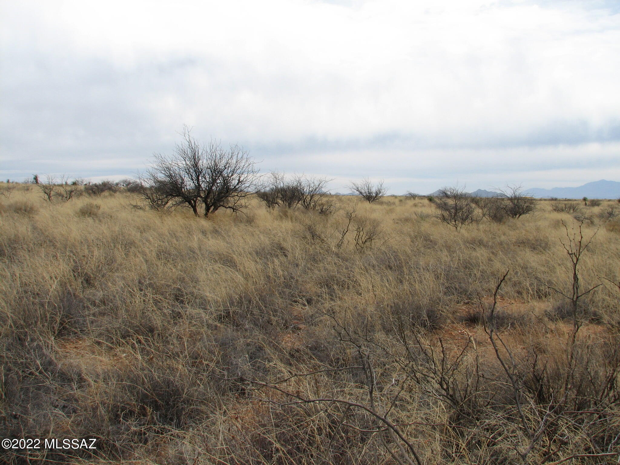 Dragoon Mountain Ranch - Land