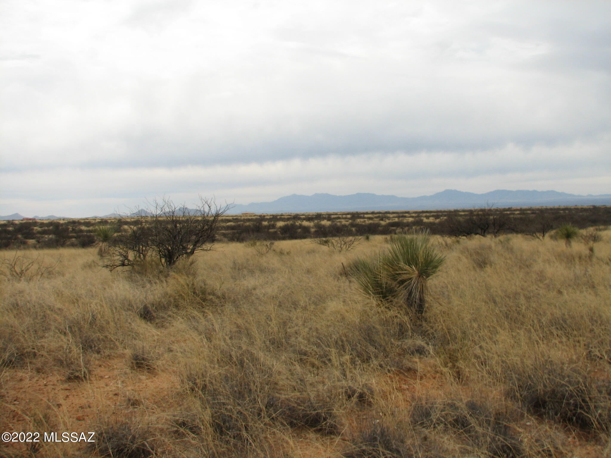 Dragoon Mountain Ranch - Land