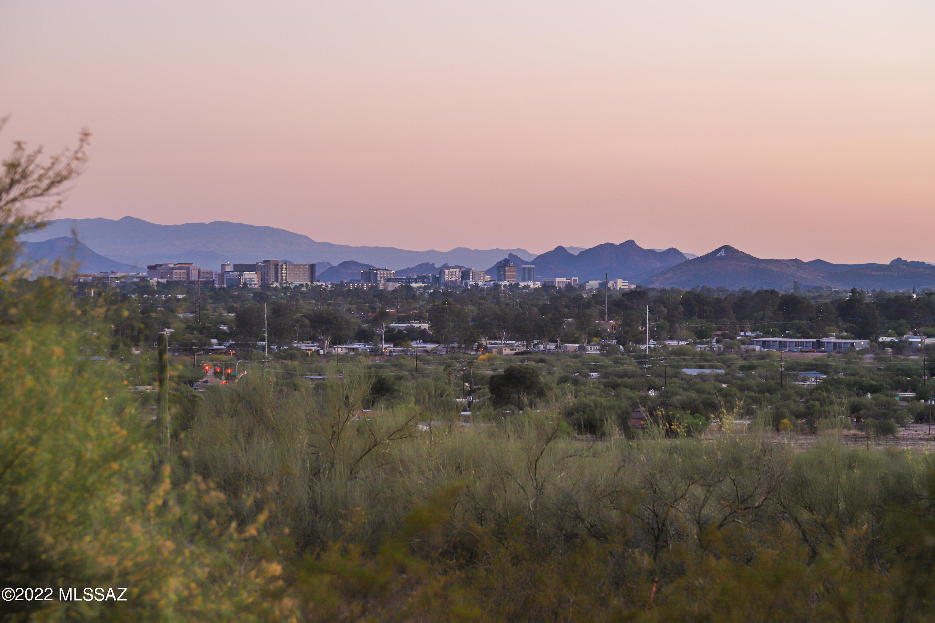 Bellas Catalinas Estates (1-93) - Residential