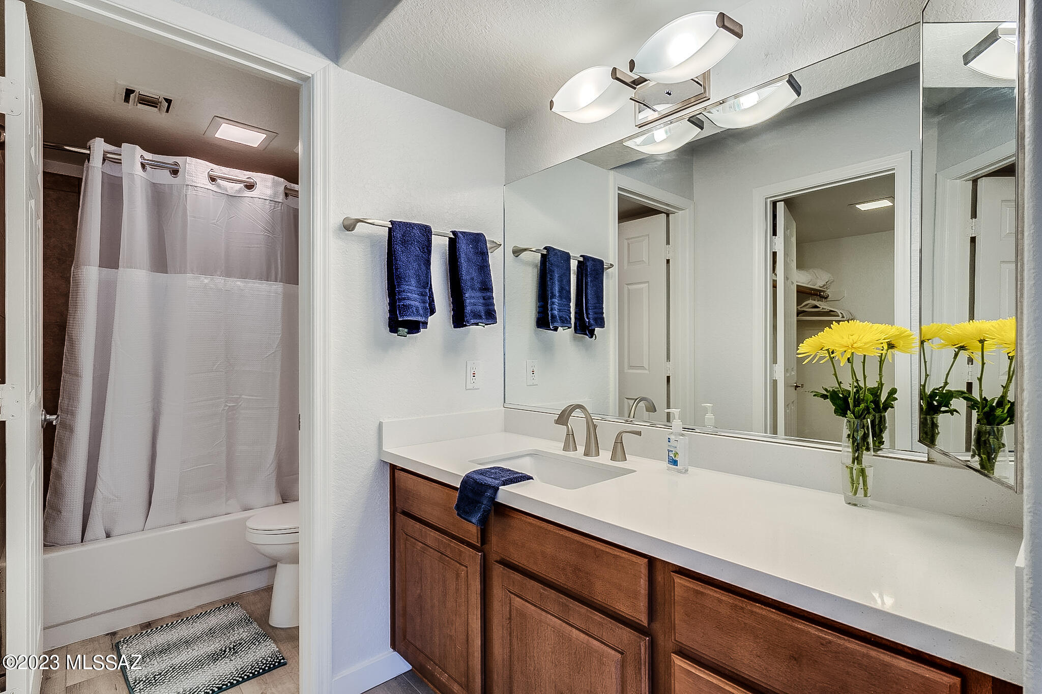 Greens at Ventana Canyon - Residential