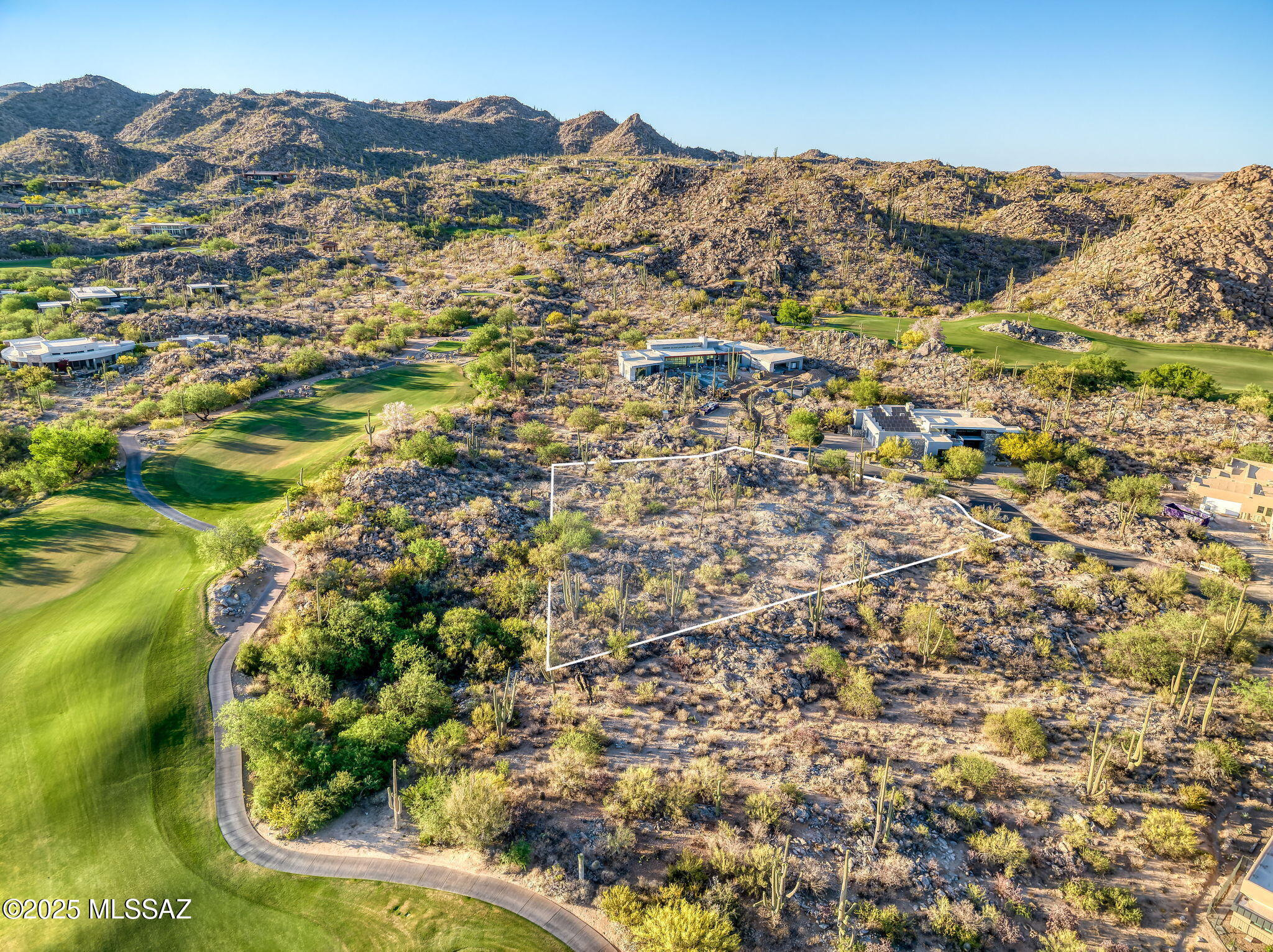 14471 N Giant Saguaro Place 33