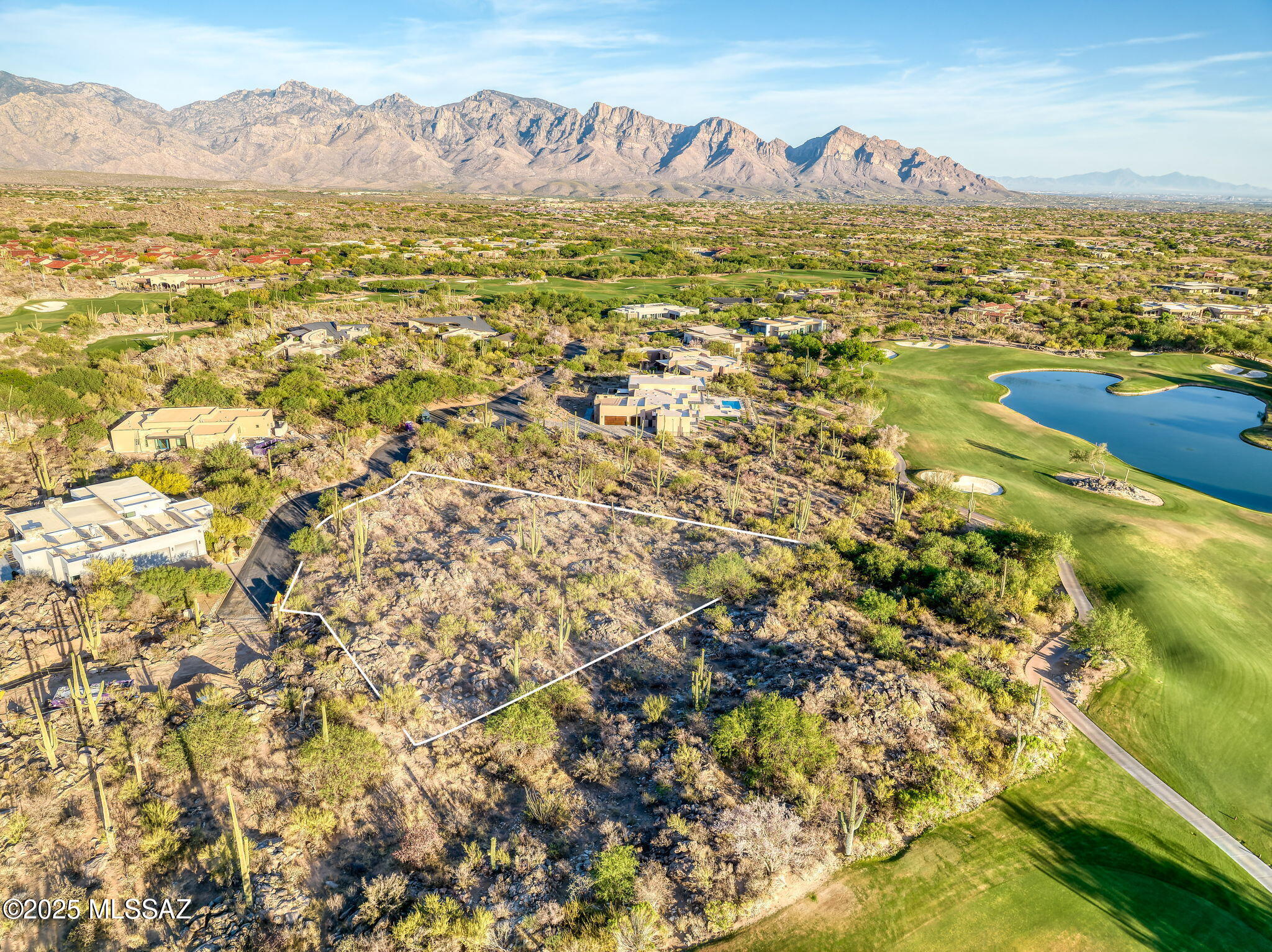 14471 N Giant Saguaro Place 33
