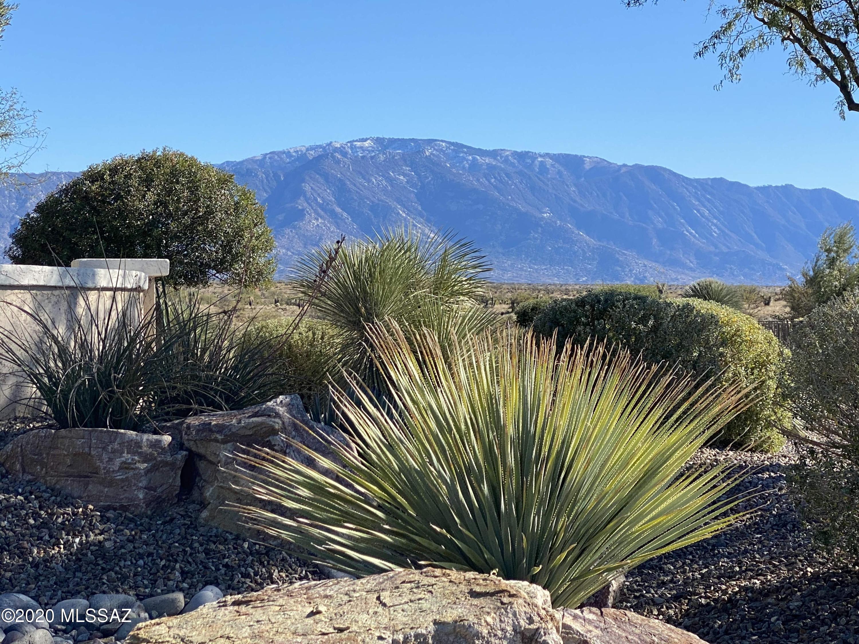 Saddlebrooke Ranch - Residential