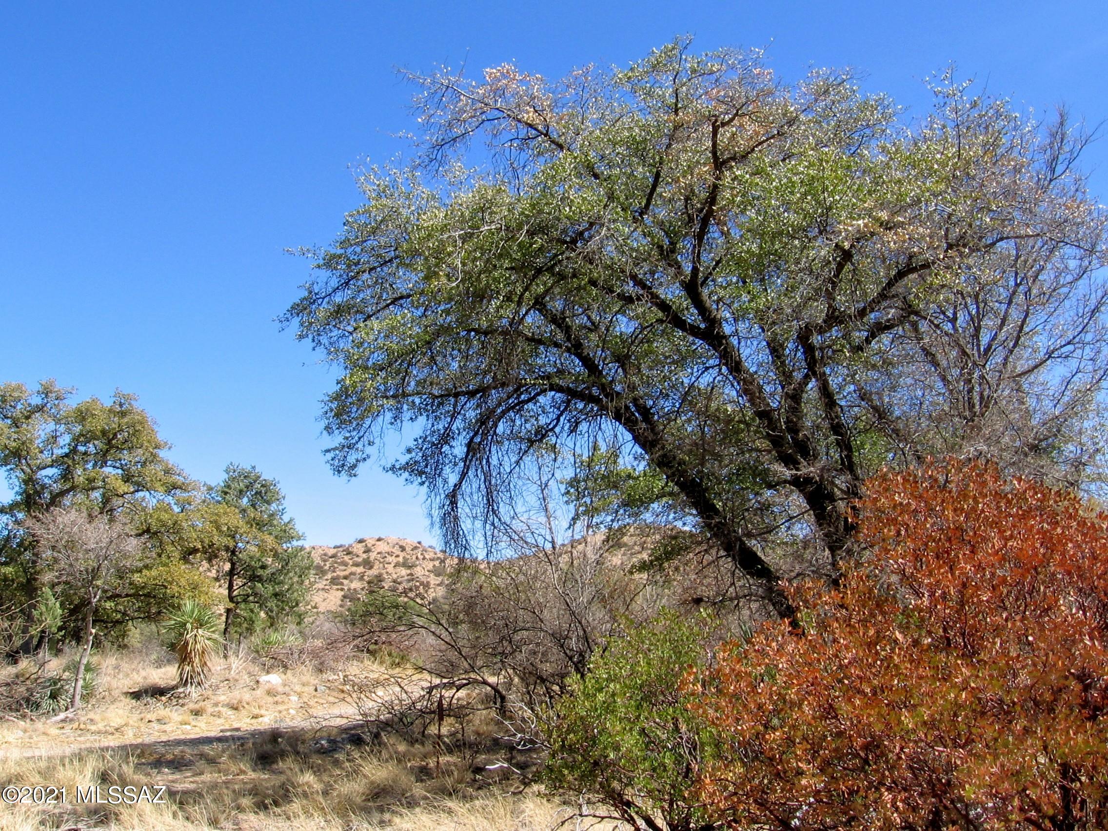 Out Of Pima County - Land