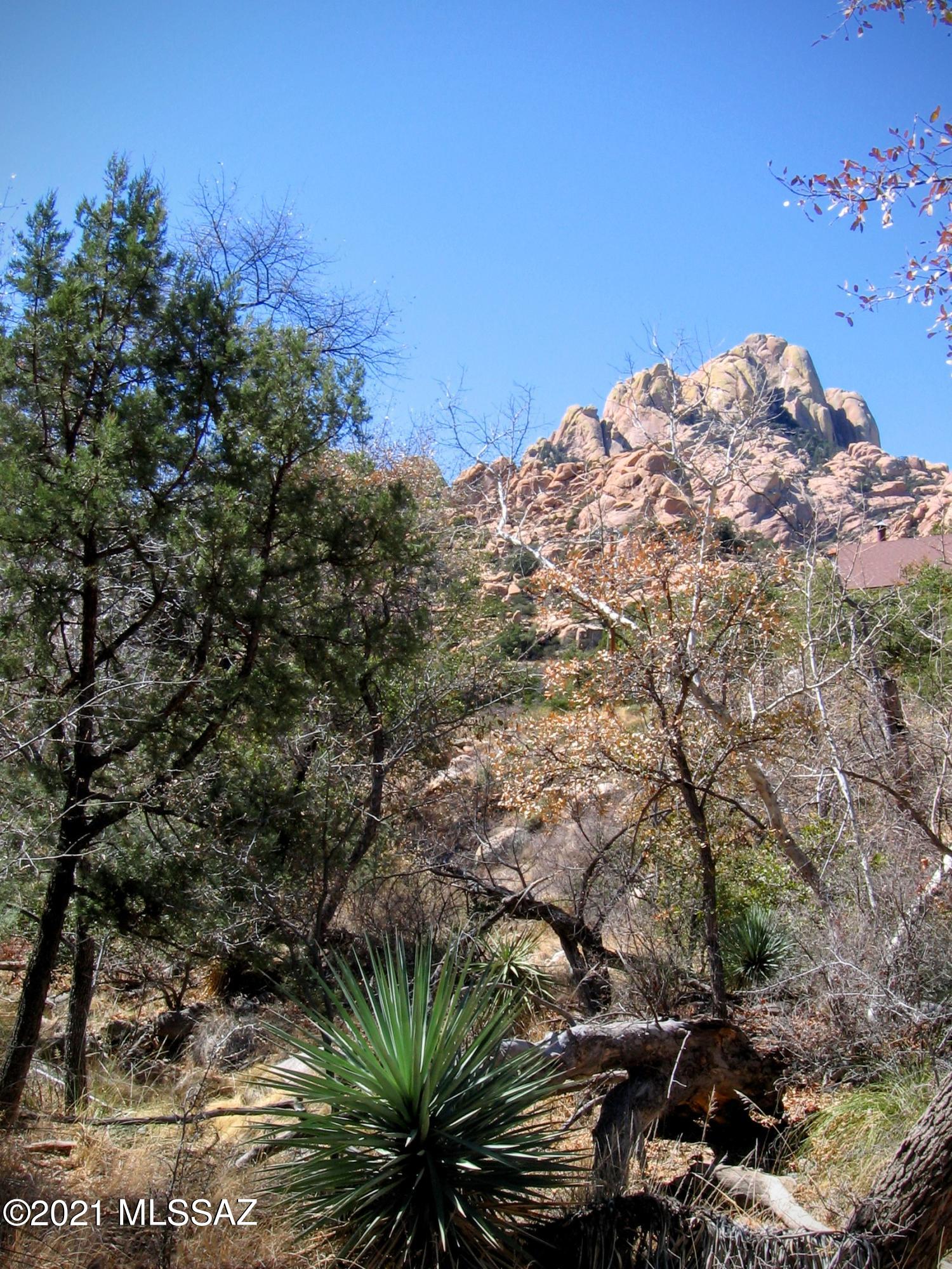 Out Of Pima County - Land