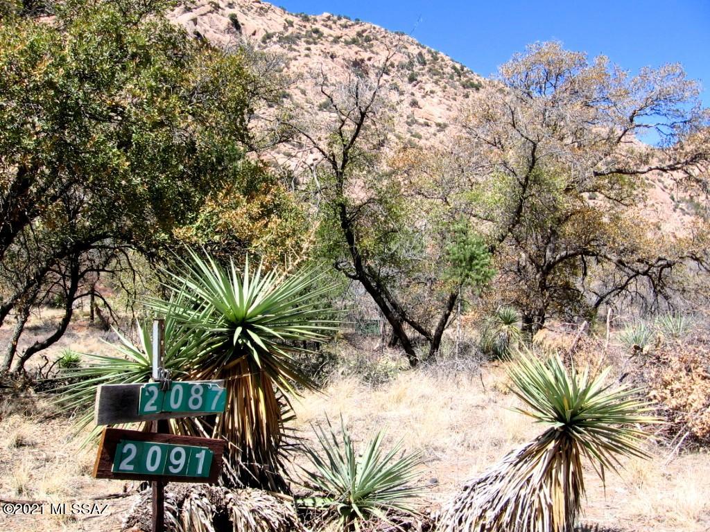 Out Of Pima County - Land