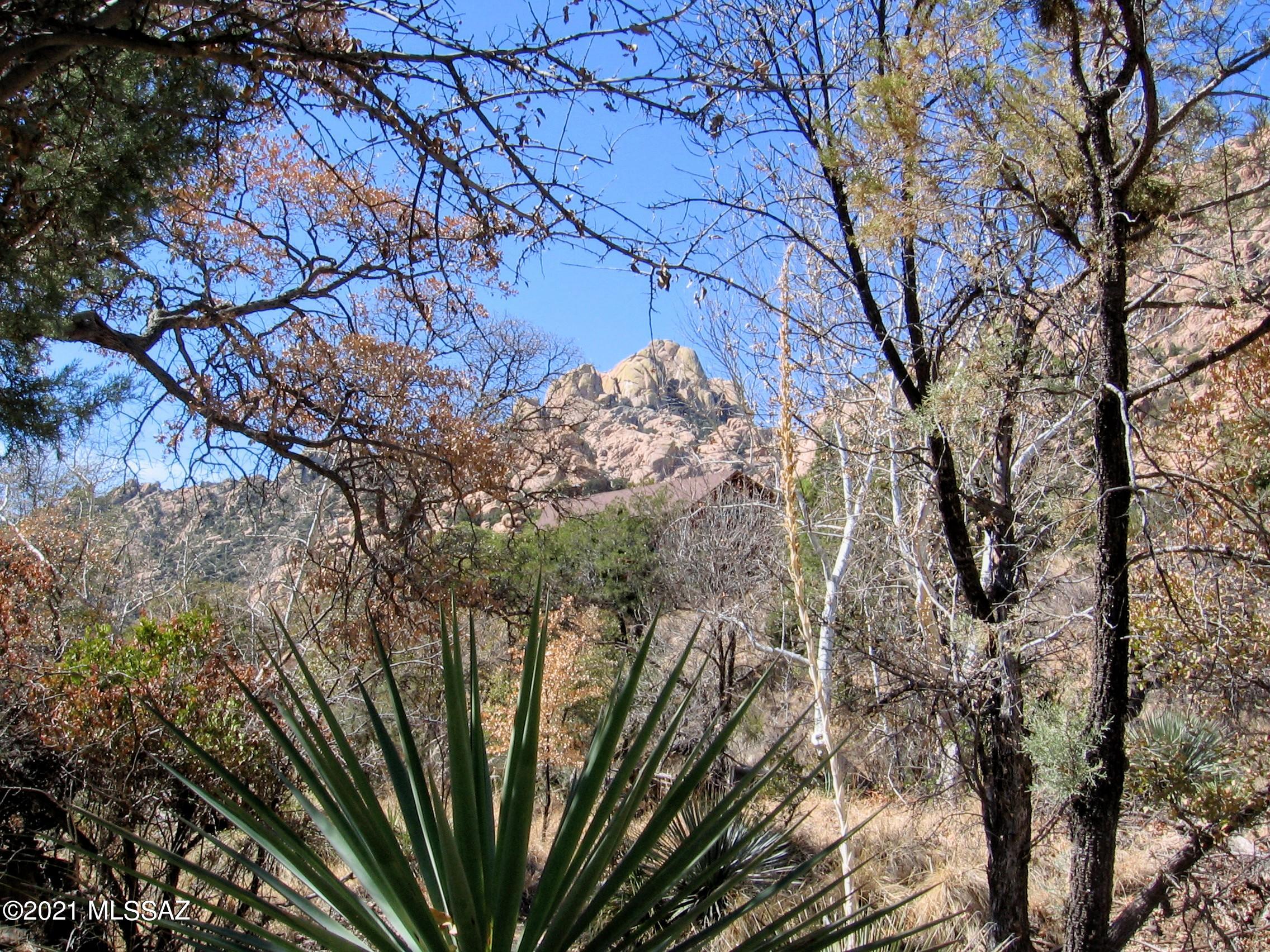 Out Of Pima County - Land