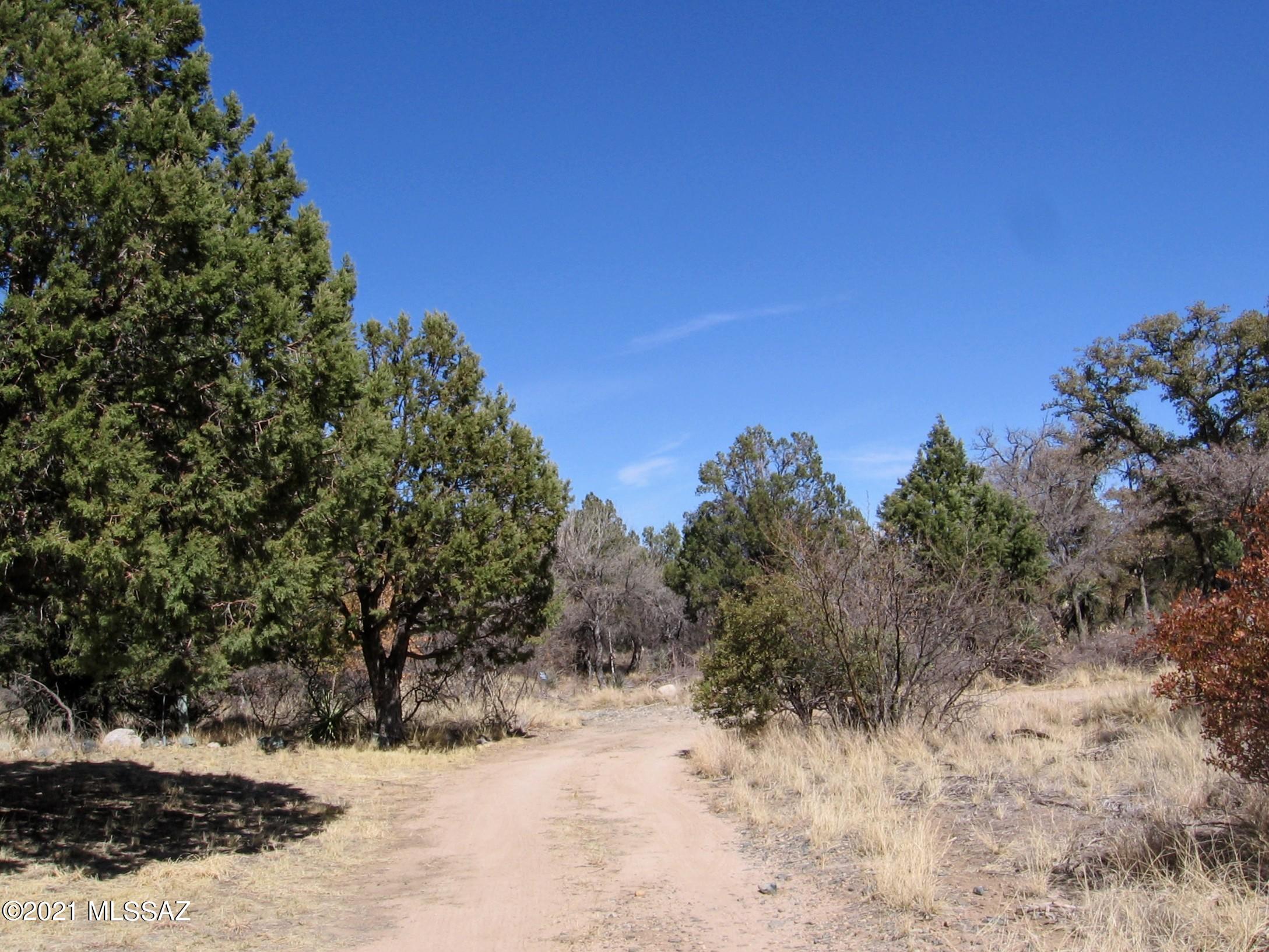 Out Of Pima County - Land
