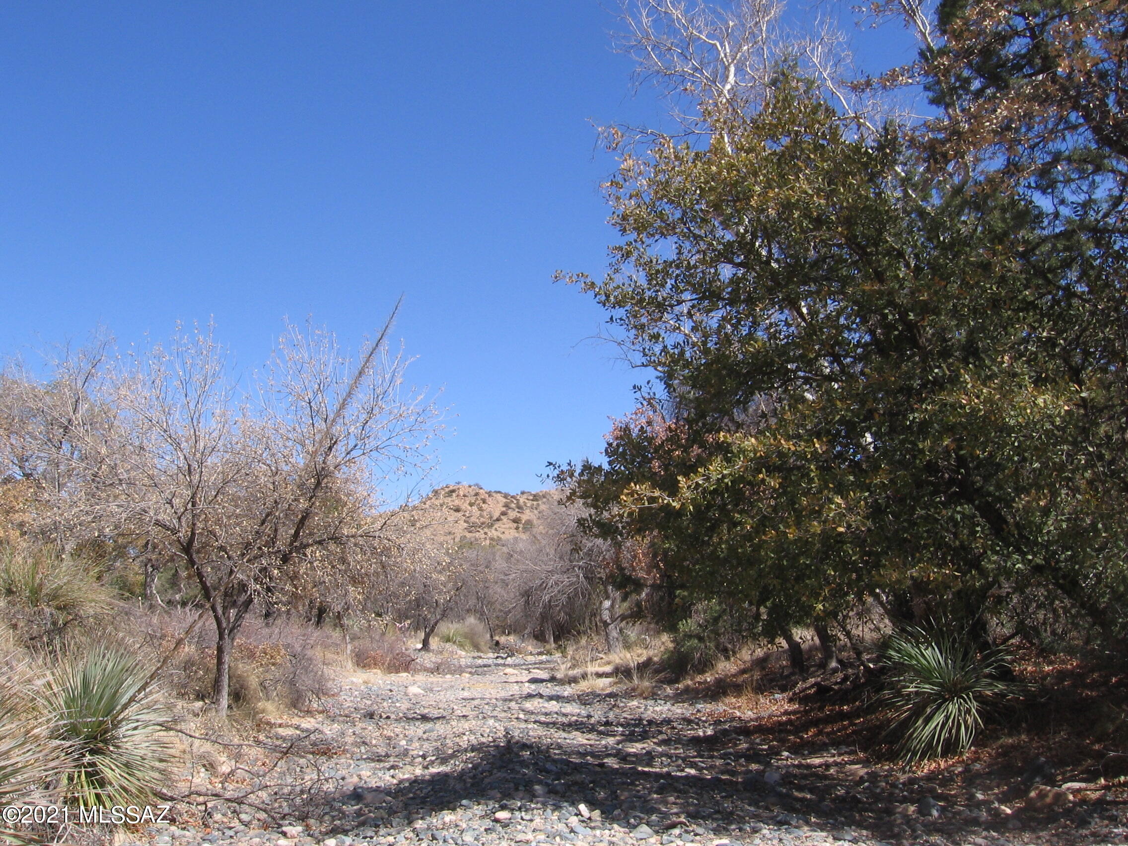 Out Of Pima County - Land